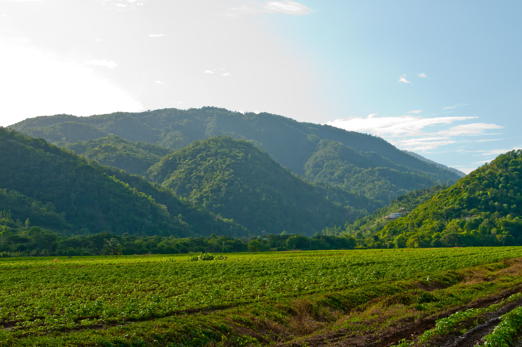 AF Zoom-Nikkor 28-80mm f/3.3-5.6G sample photo. Mountains photography