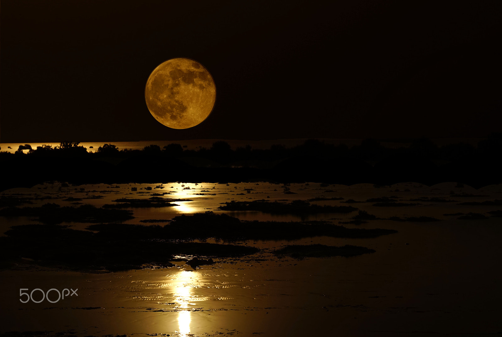 Sony Planar T* 50mm F1.4 ZA SSM sample photo. Super moon photography