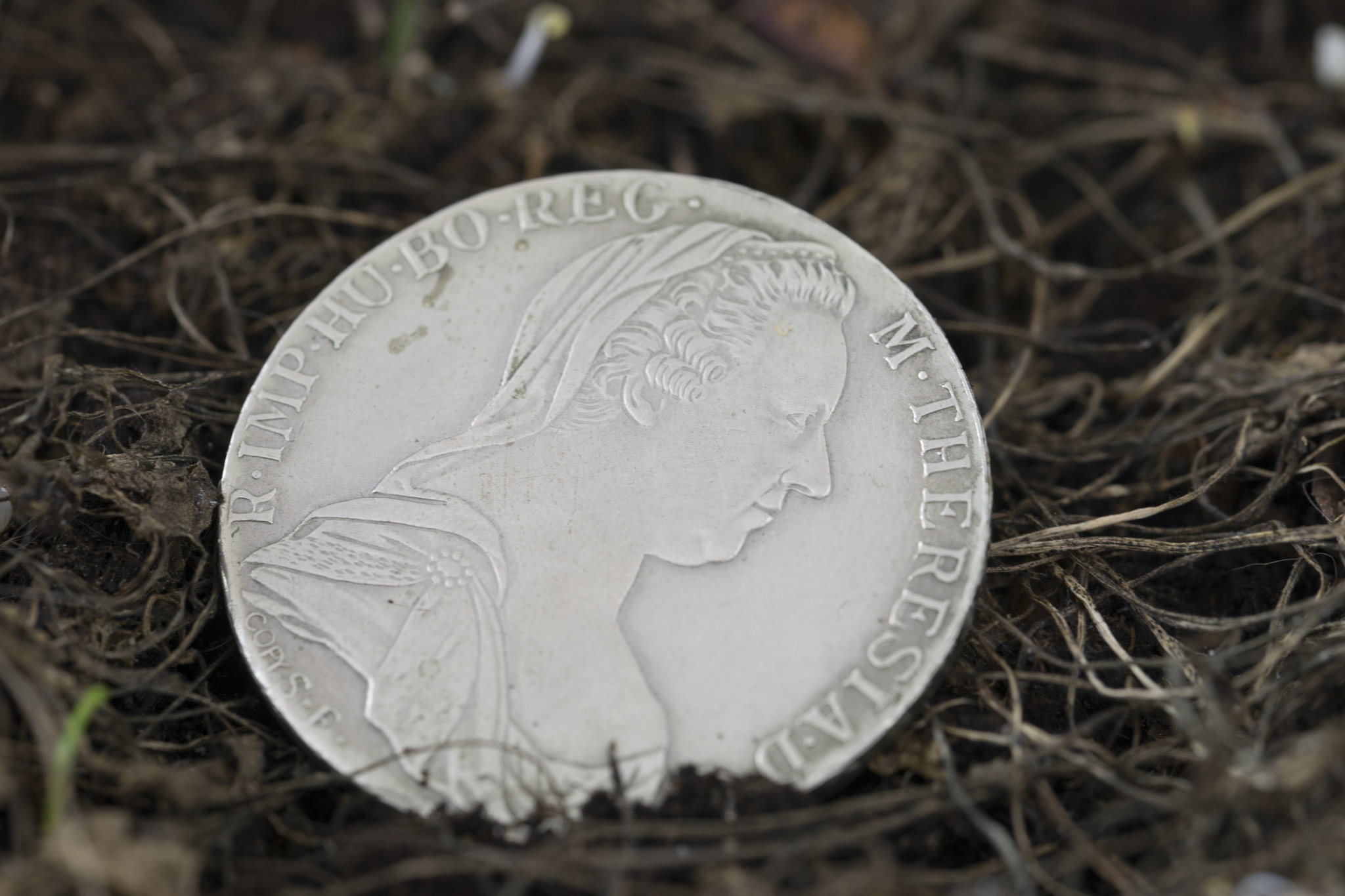 Sony a99 II + 90mm F2.8 Macro SSM sample photo. Silbermünze photography