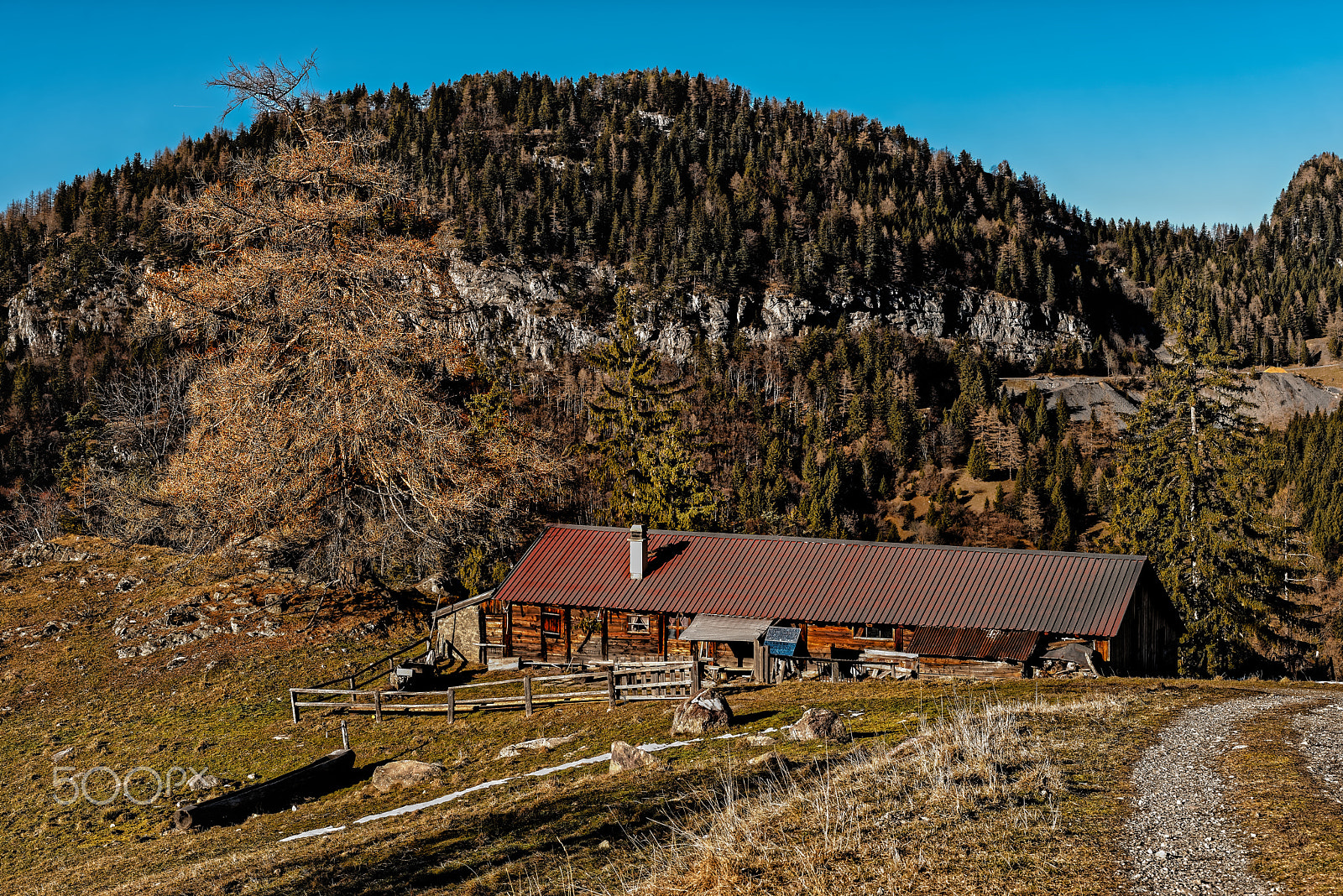 ZEISS Otus 55mm F1.4 sample photo. Switzerland inside photography