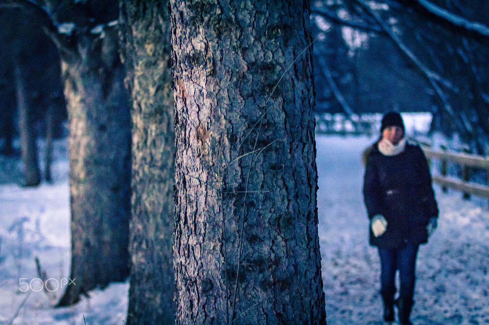 Canon EF 80-200mm f/2.8L sample photo. Winter season photography