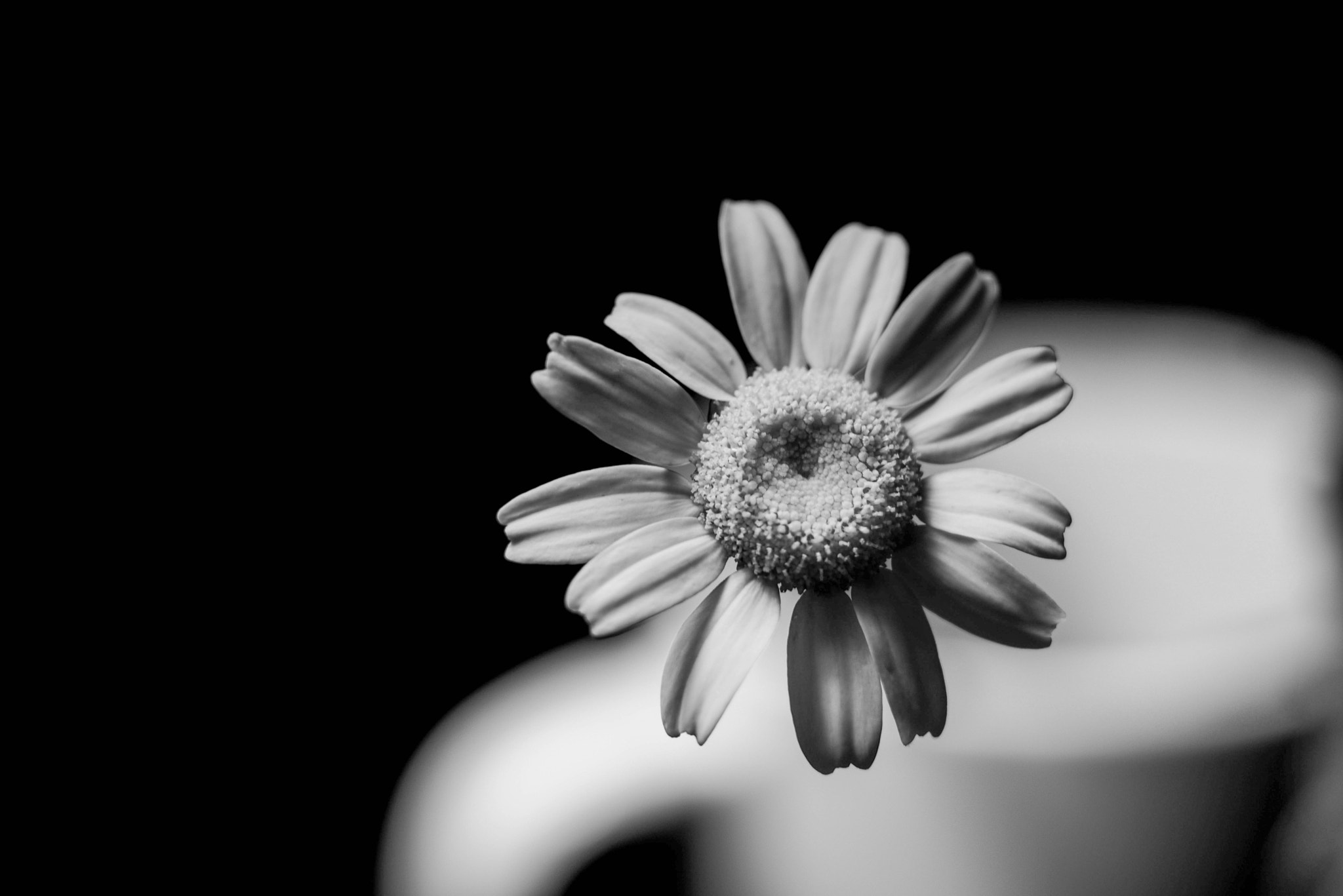Nikon D610 + Sigma 105mm F2.8 EX DG Macro sample photo. Ikea photography