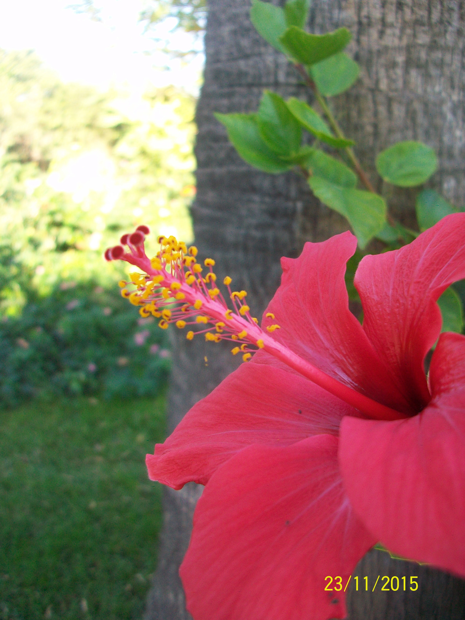 Kodak EASYSHARE M1063 DIGITAL CAMERA sample photo. Ben buradayım dercesine.. photography