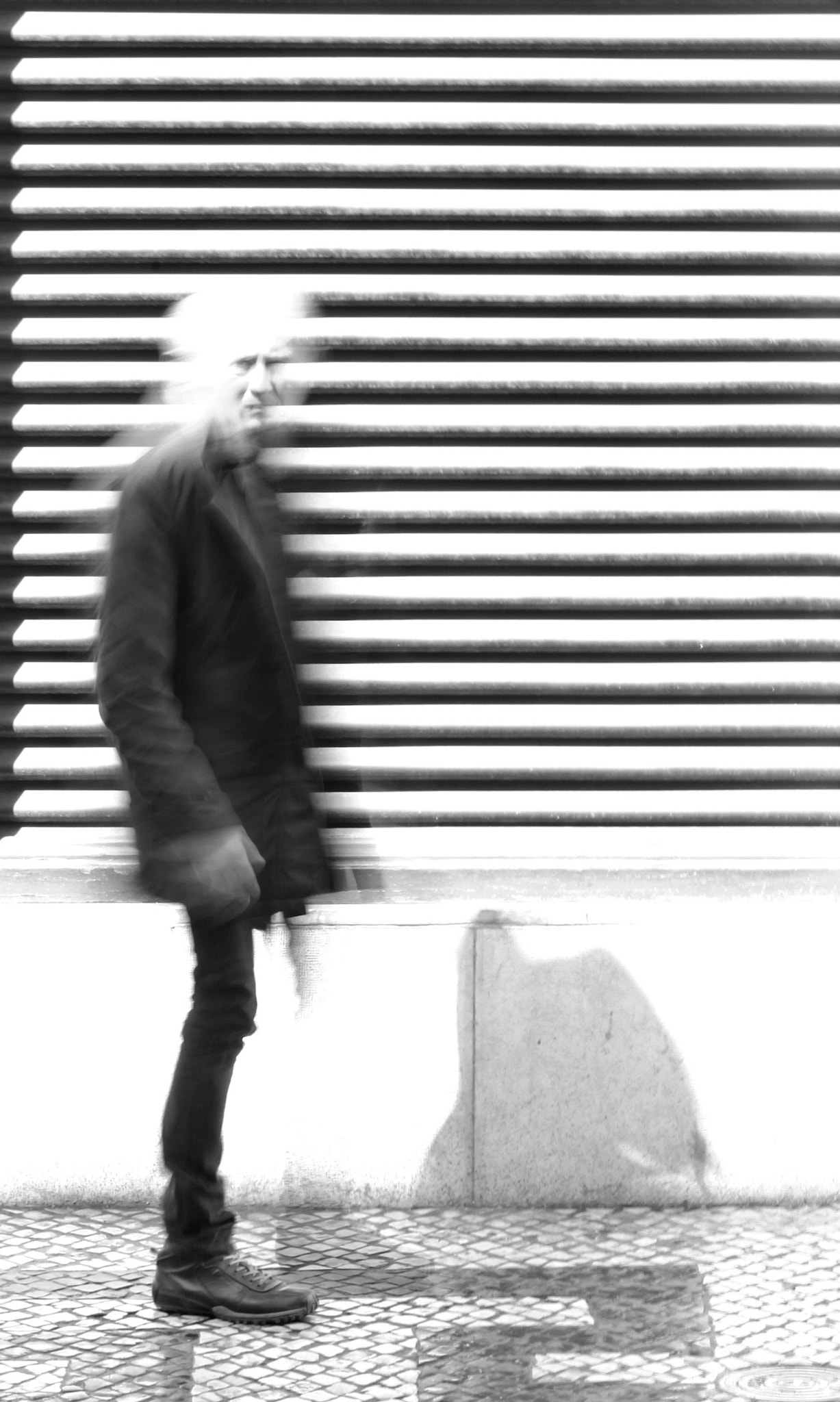Canon EOS 550D (EOS Rebel T2i / EOS Kiss X4) + Canon 70-300mm sample photo. The uninvisible man photography