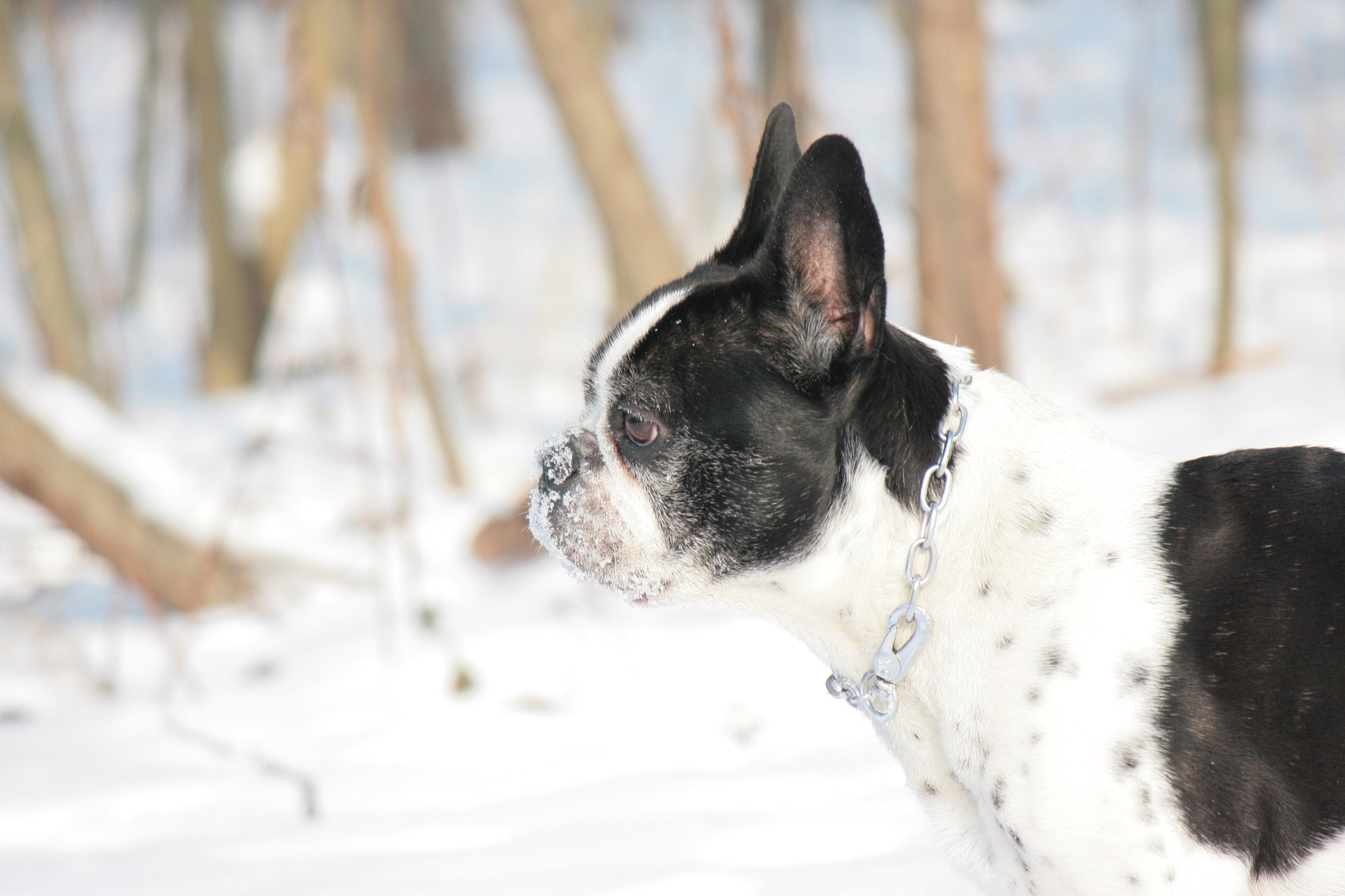 Canon EF-S 55-250mm F4-5.6 IS II sample photo. Raw%%c%bcbung% photography