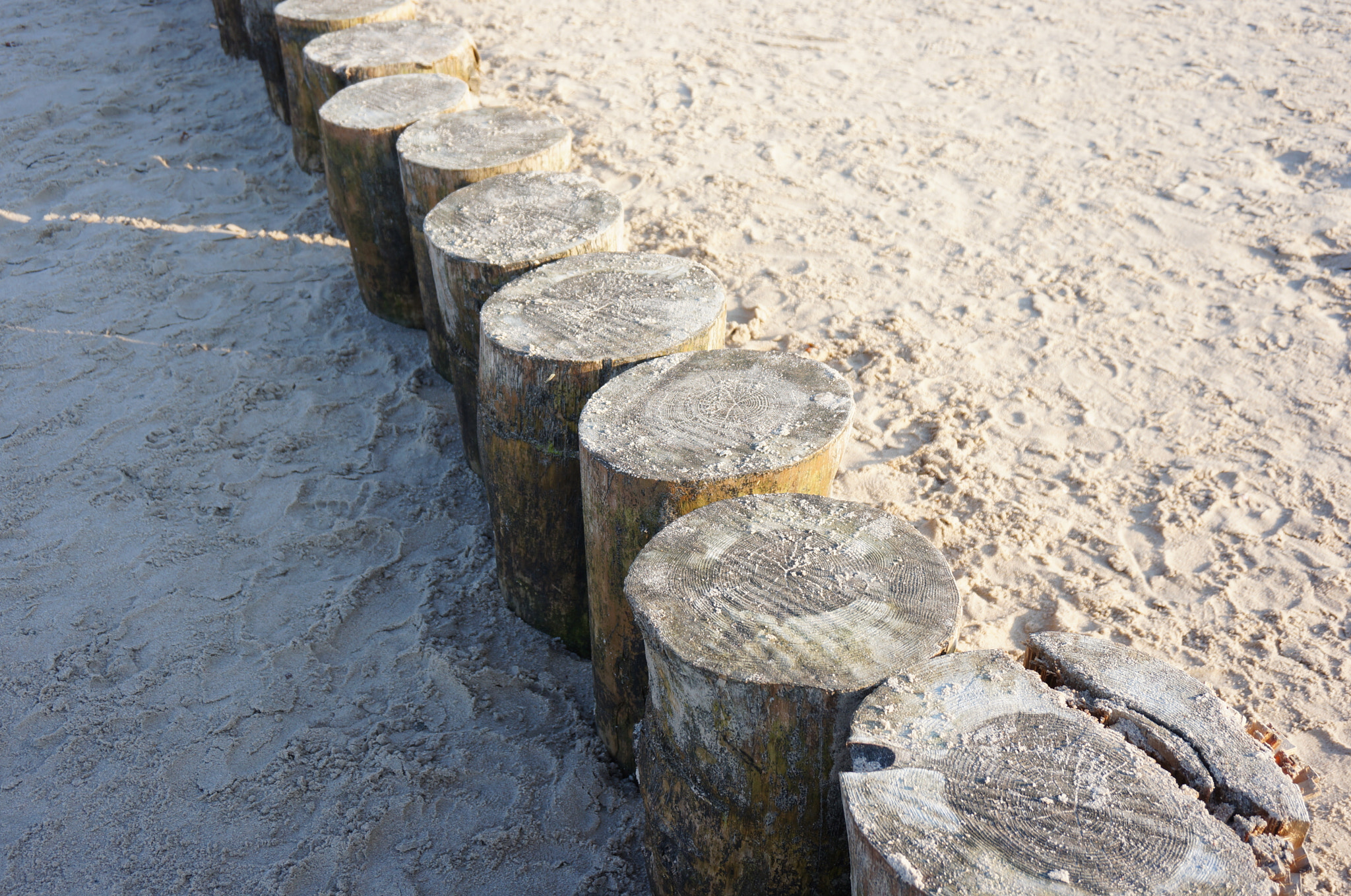 Sony Alpha NEX-5N + Sony E 18-50mm F4-5.6 sample photo. Row of wooden poles on beach sand photography