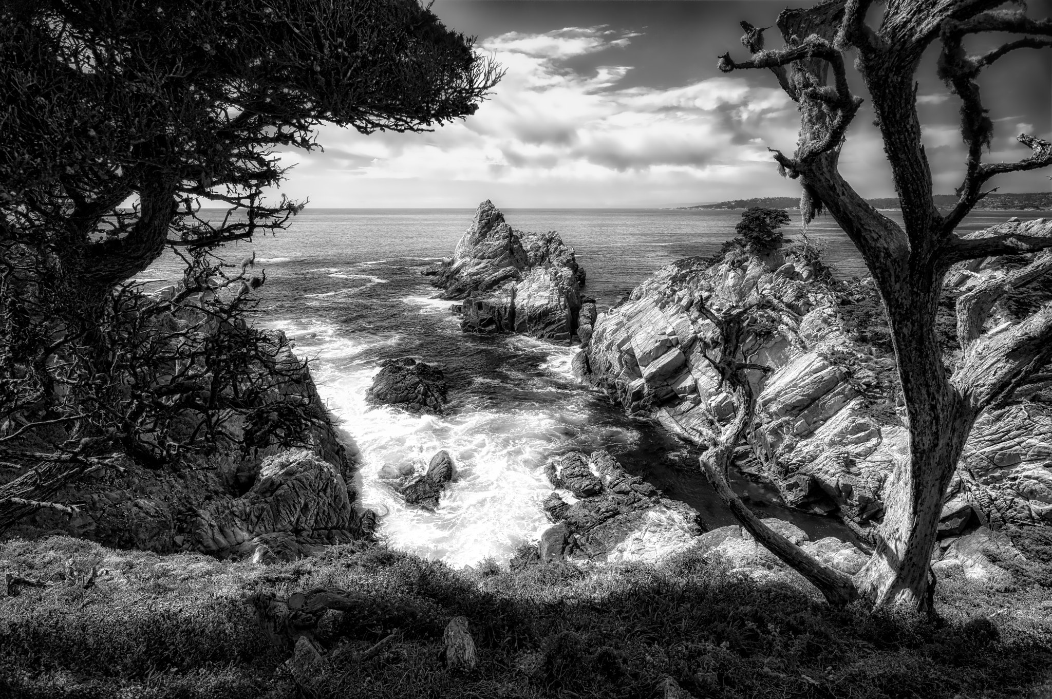 Leica S (TYP 006) + Super-Elmar-S 24 sample photo. Lobos lookout photography