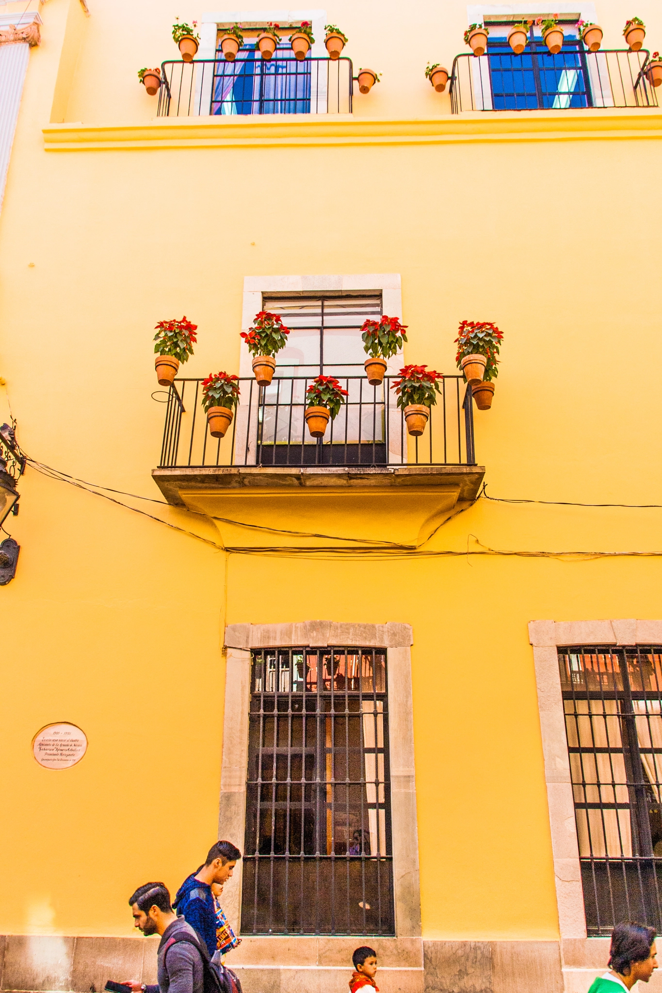Sigma 18-200mm f/3.5-6.3 DC OS sample photo. Colors of guanajuato: yellow photography