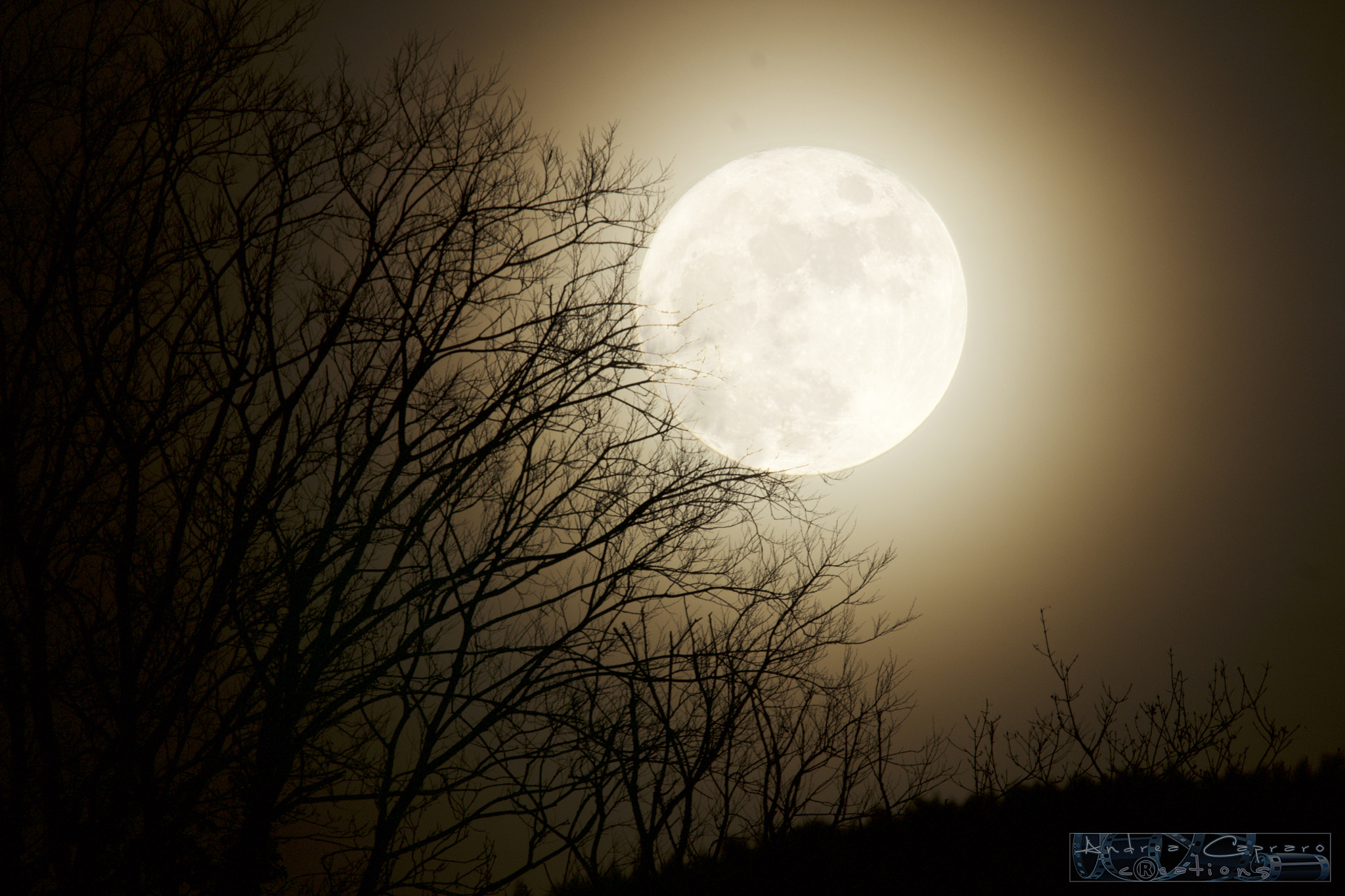 Sigma 150-600mm F5-6.3 DG OS HSM | C sample photo. The december 25's moon. photography