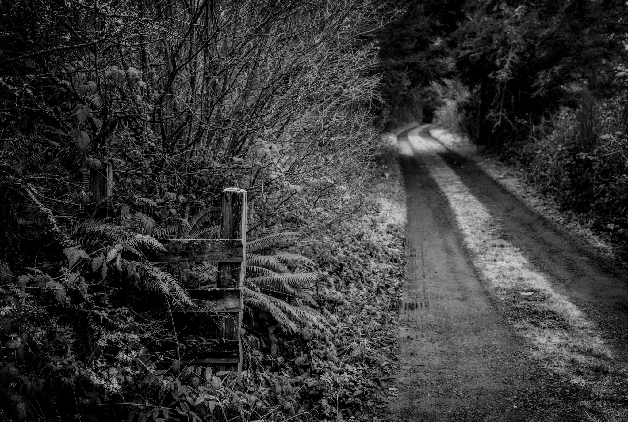 Leica Elmarit-M 28mm F2.8 ASPH sample photo. Edit photography