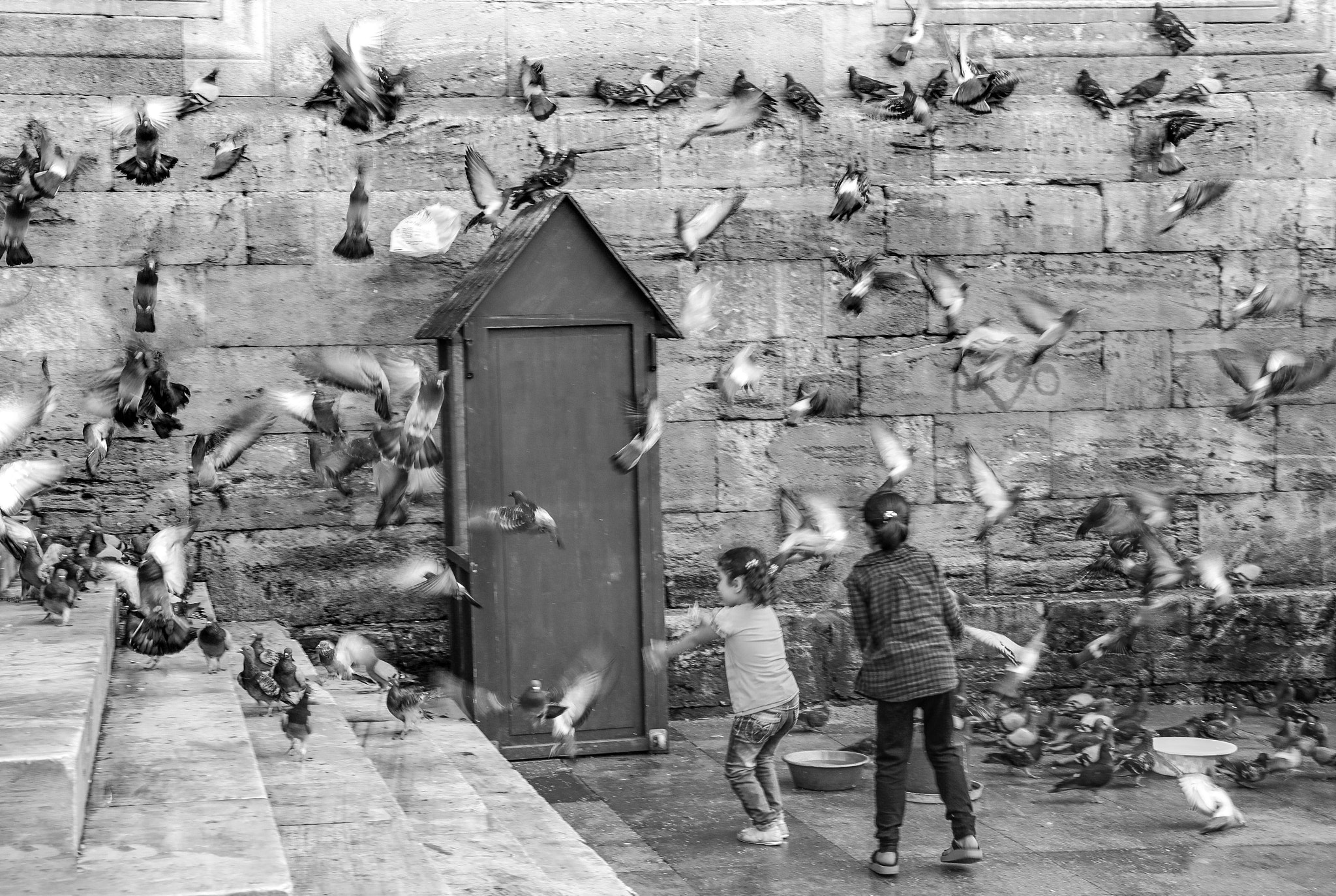 Canon EF 28-300mm F3.5-5.6L IS USM sample photo. Pigeons and kids photography