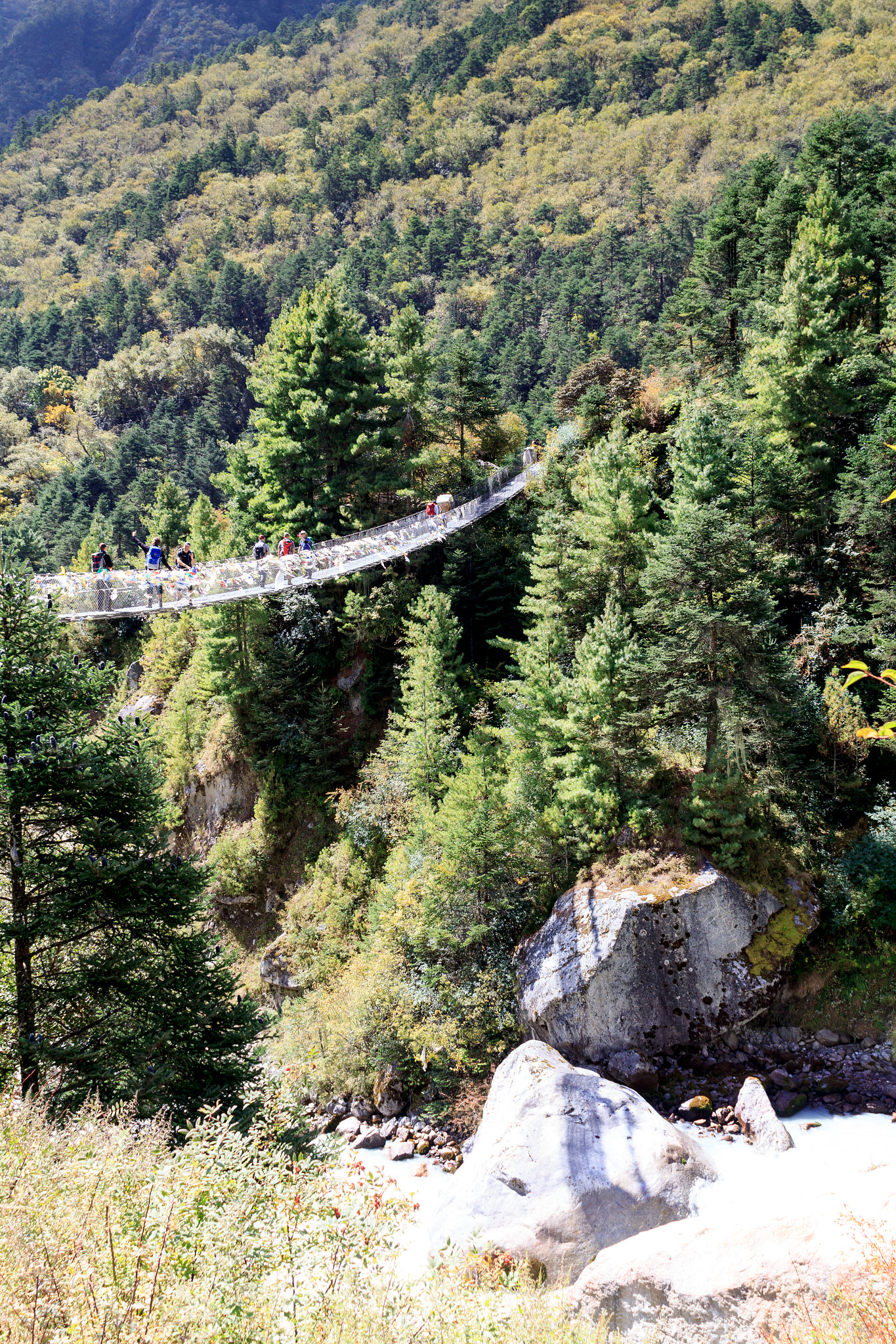 Canon EOS 60D + Canon EF 24mm f/1.4L sample photo. Hanging bridge photography