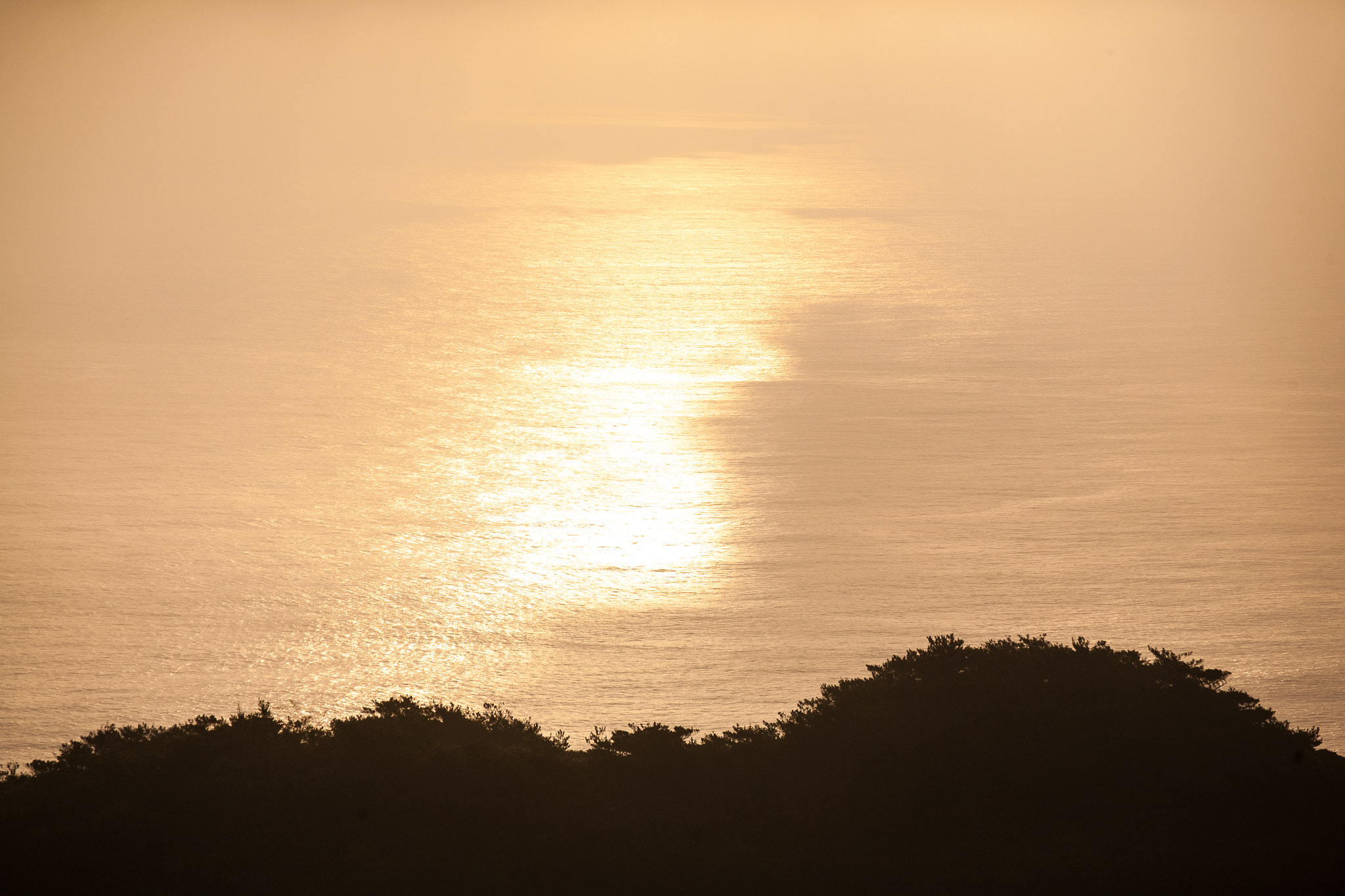 Tamron SP 35mm F1.8 Di VC USD sample photo. Calm mind photography