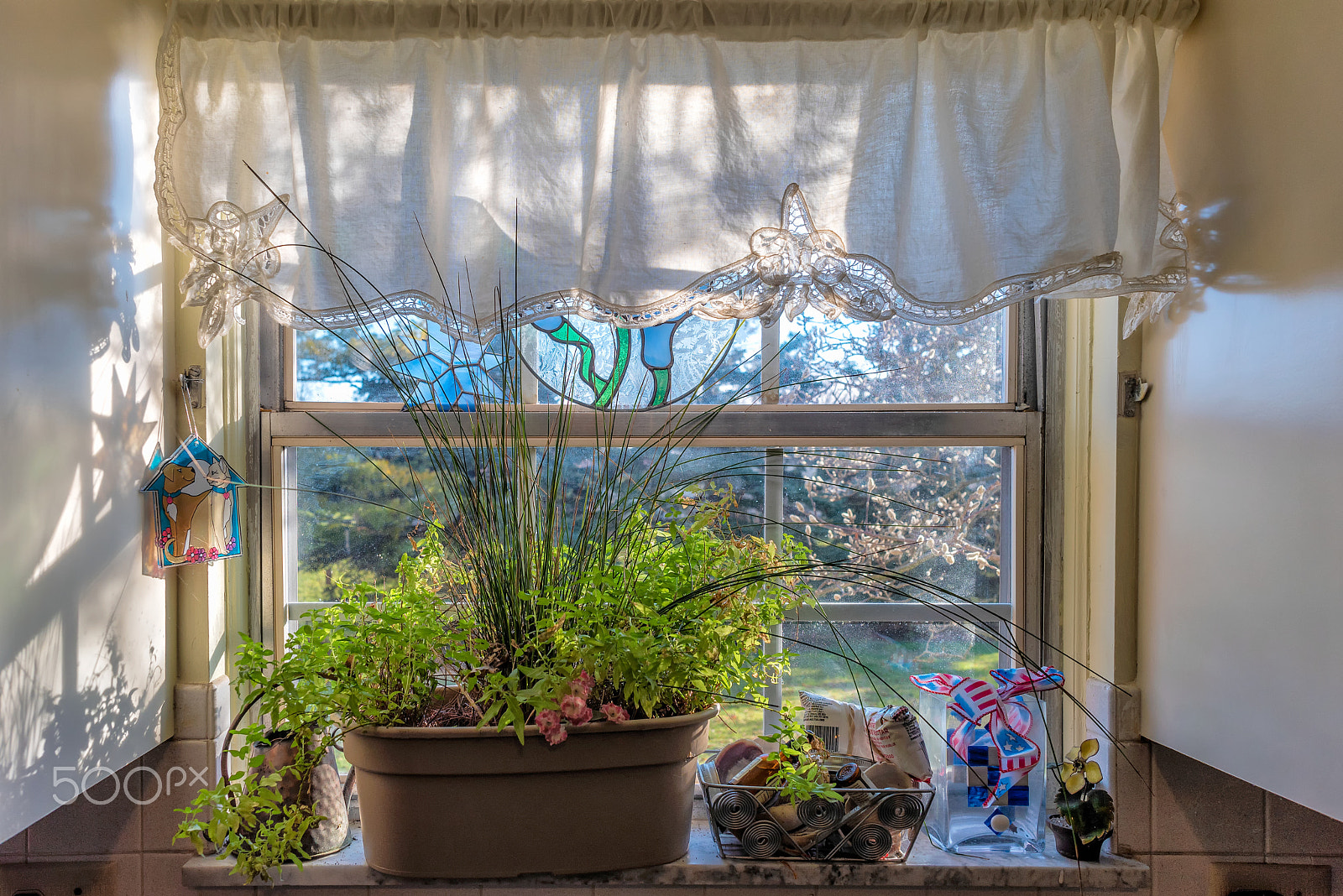Samyang 12mm F2.8 ED AS NCS Fisheye sample photo. Warm and sunny ohio christmas eve photography