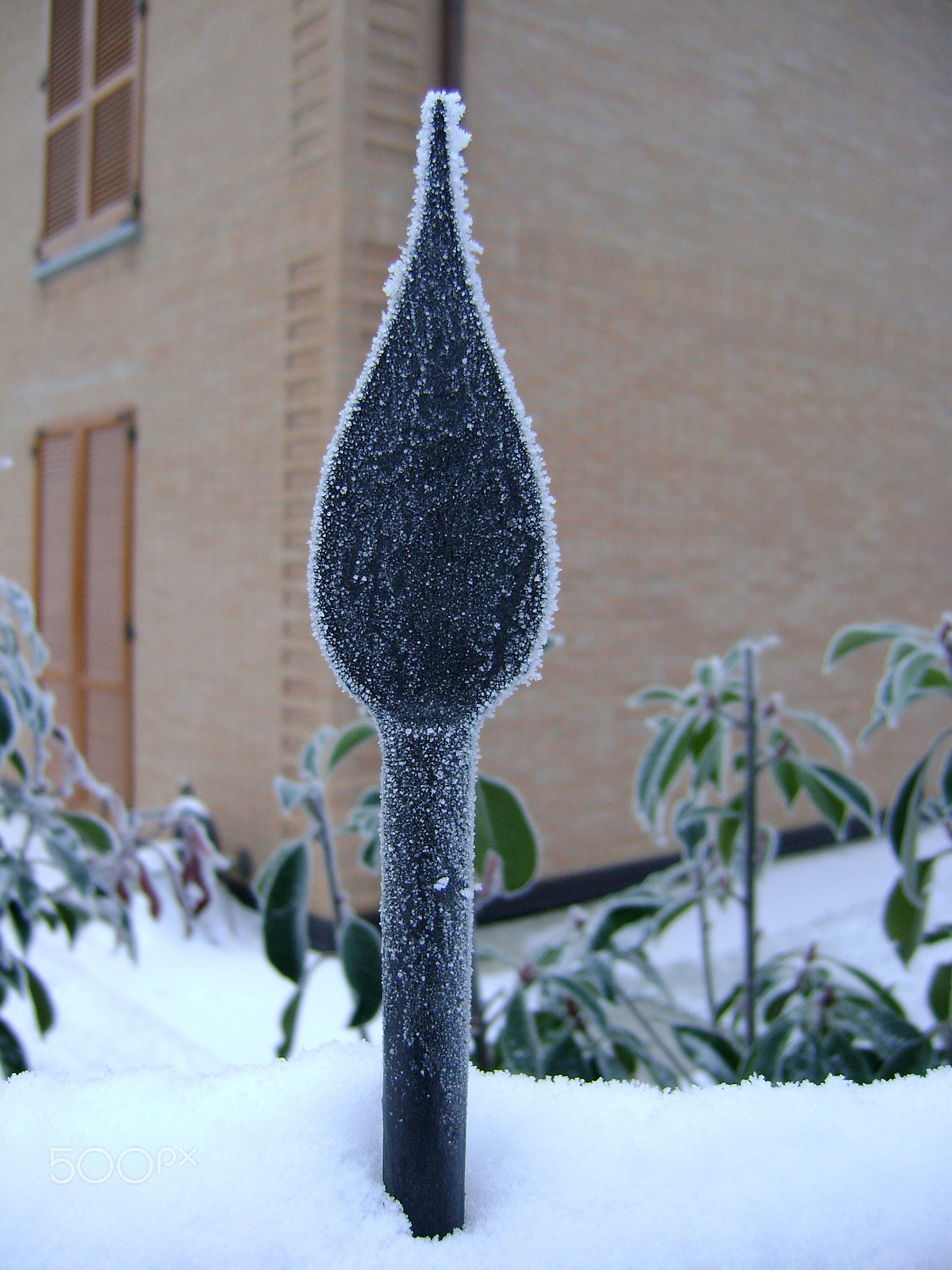 Sony DSC-S730 sample photo. Frozen iron arrow photography