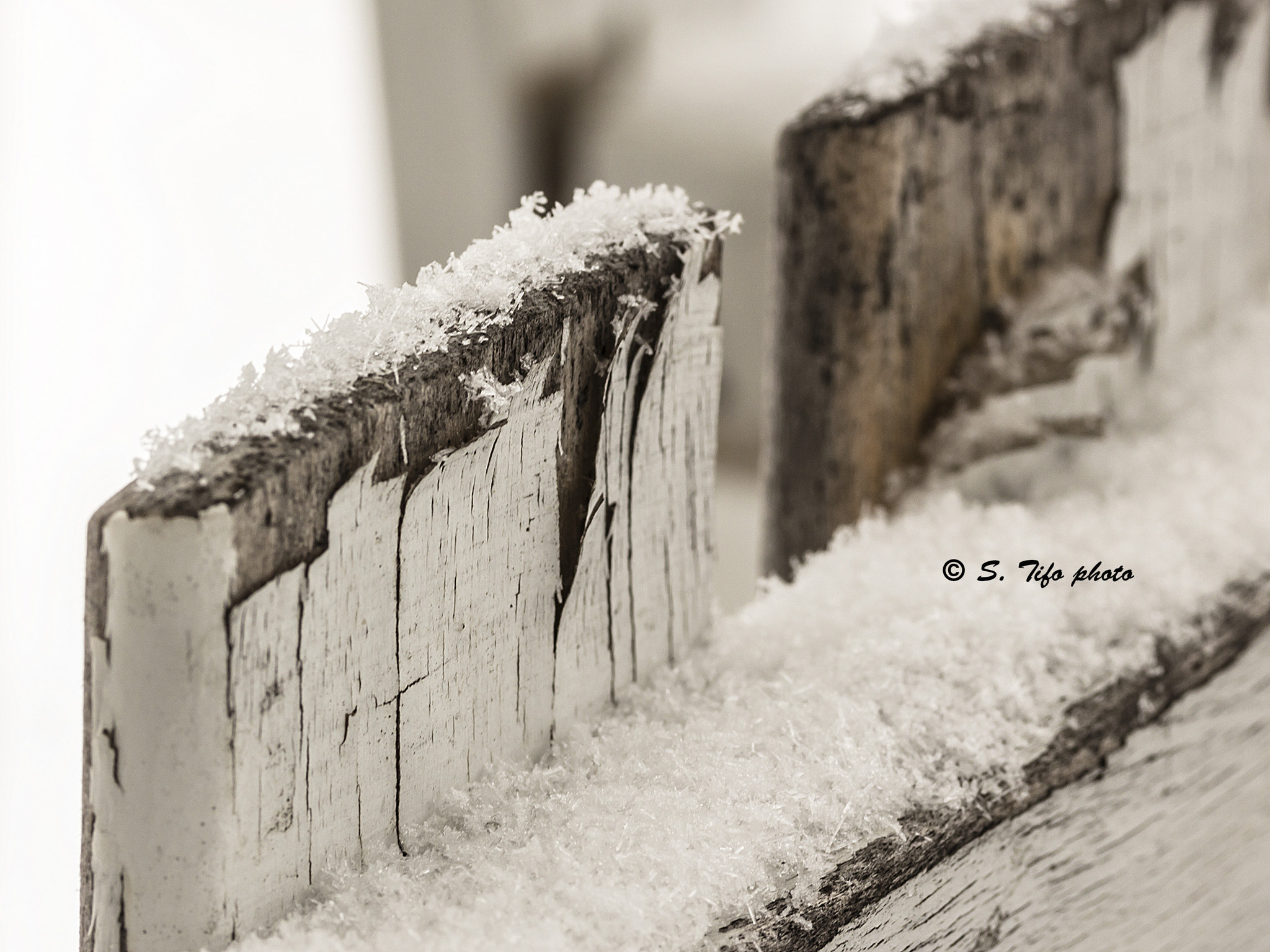 Canon EF-S 60mm F2.8 Macro USM sample photo. L'hiver est arrivé .... photography
