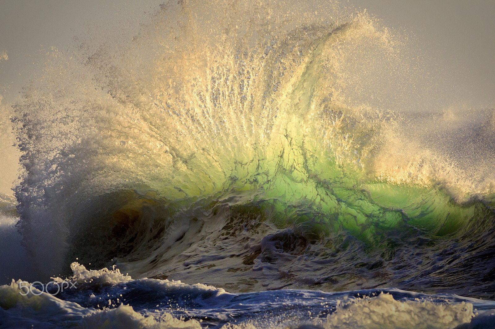 Canon EOS-1D Mark IV + Canon EF 400mm F5.6L USM sample photo. Boxing day backwash photography