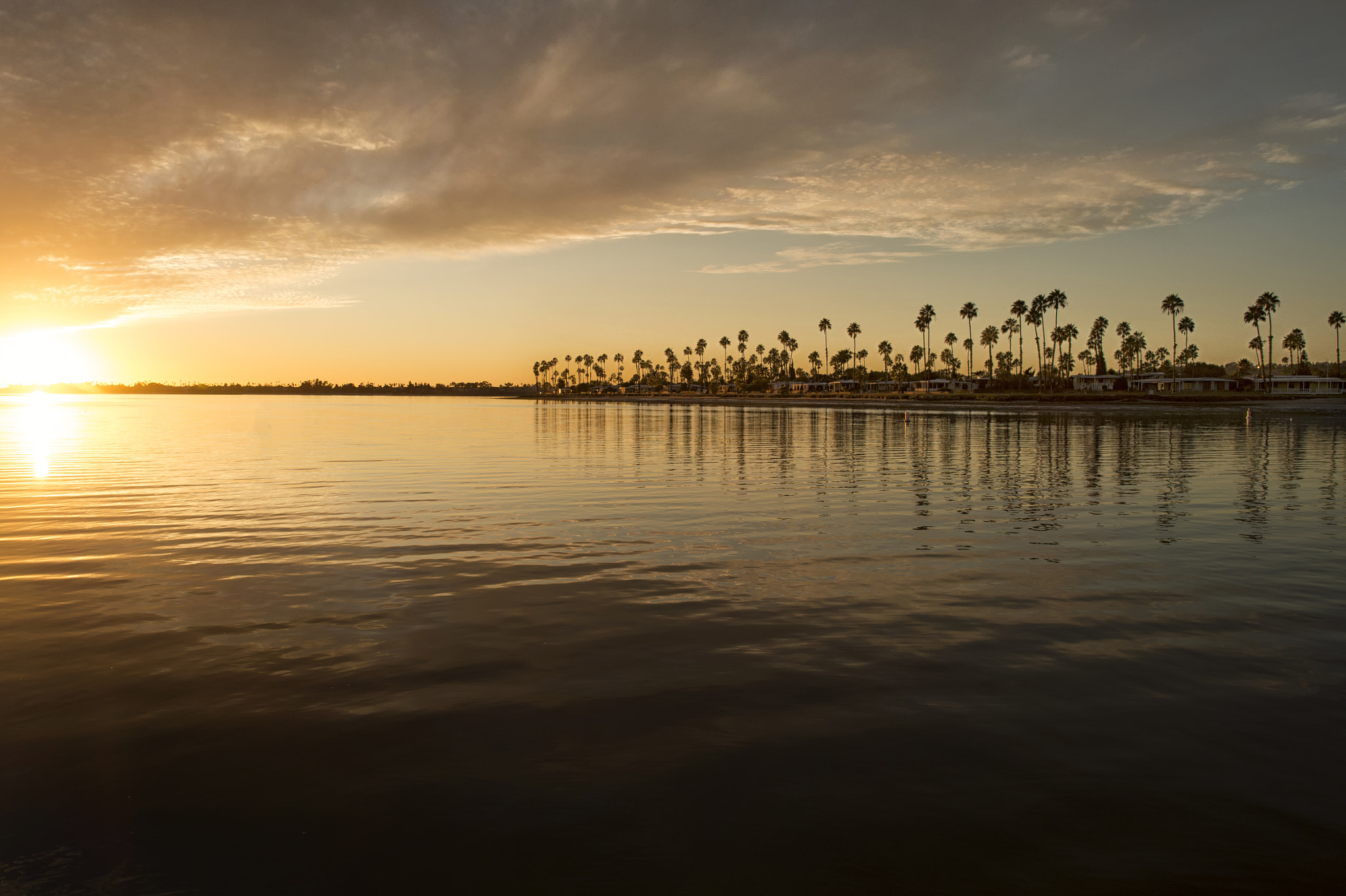 Nikon AF-S Nikkor 24mm F1.4G ED sample photo. Mission bay photography
