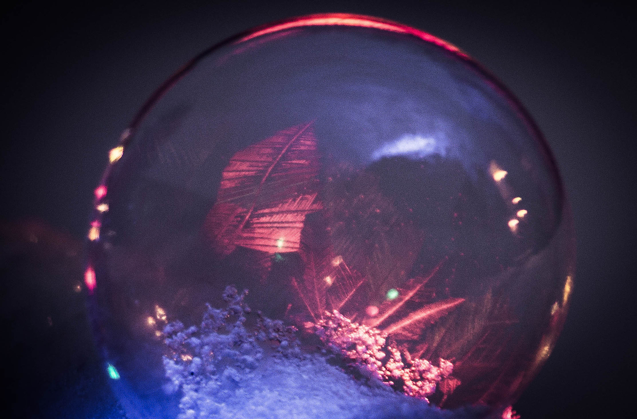 Nikon D3100 + AF Zoom-Nikkor 35-105mm f/3.5-4.5 sample photo. Frozen bubble photography