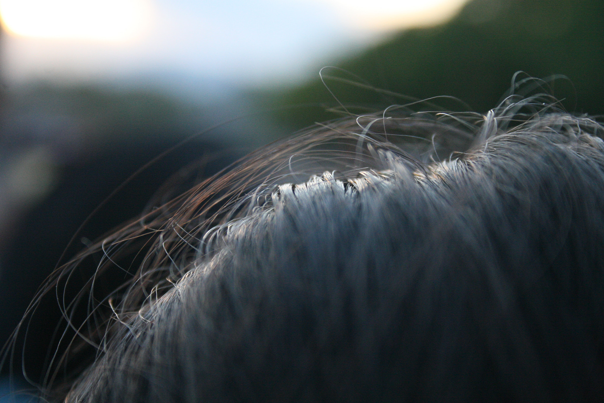 Canon EF-S 18-55mm F3.5-5.6 sample photo. Enredame a ti photography