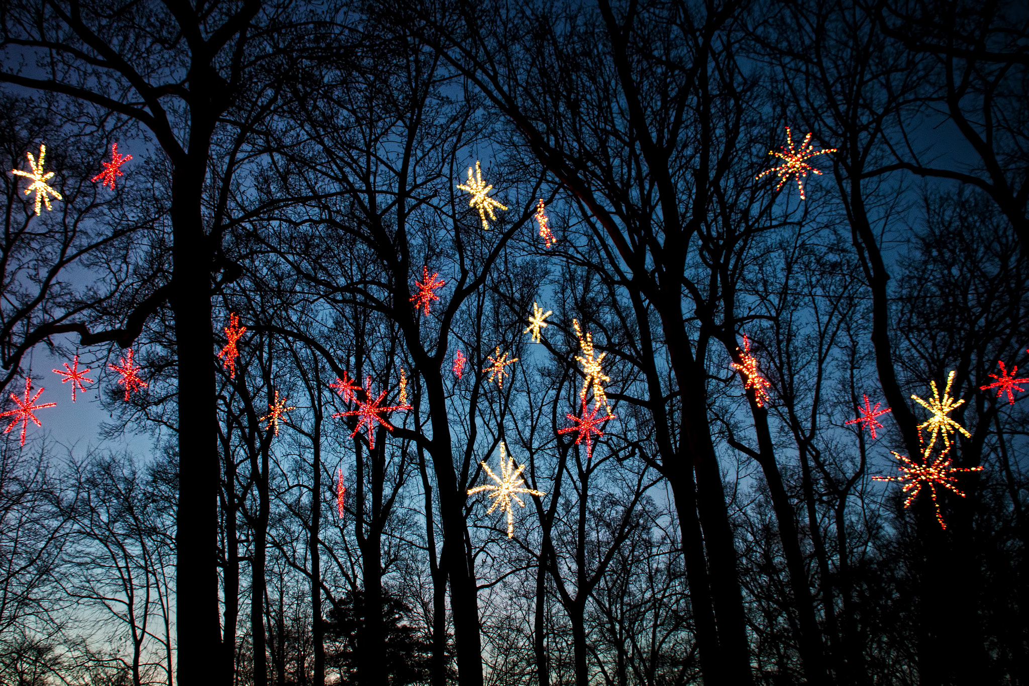 Sigma 18-50mm F2.8-4.5 DC OS HSM sample photo. Starry night photography