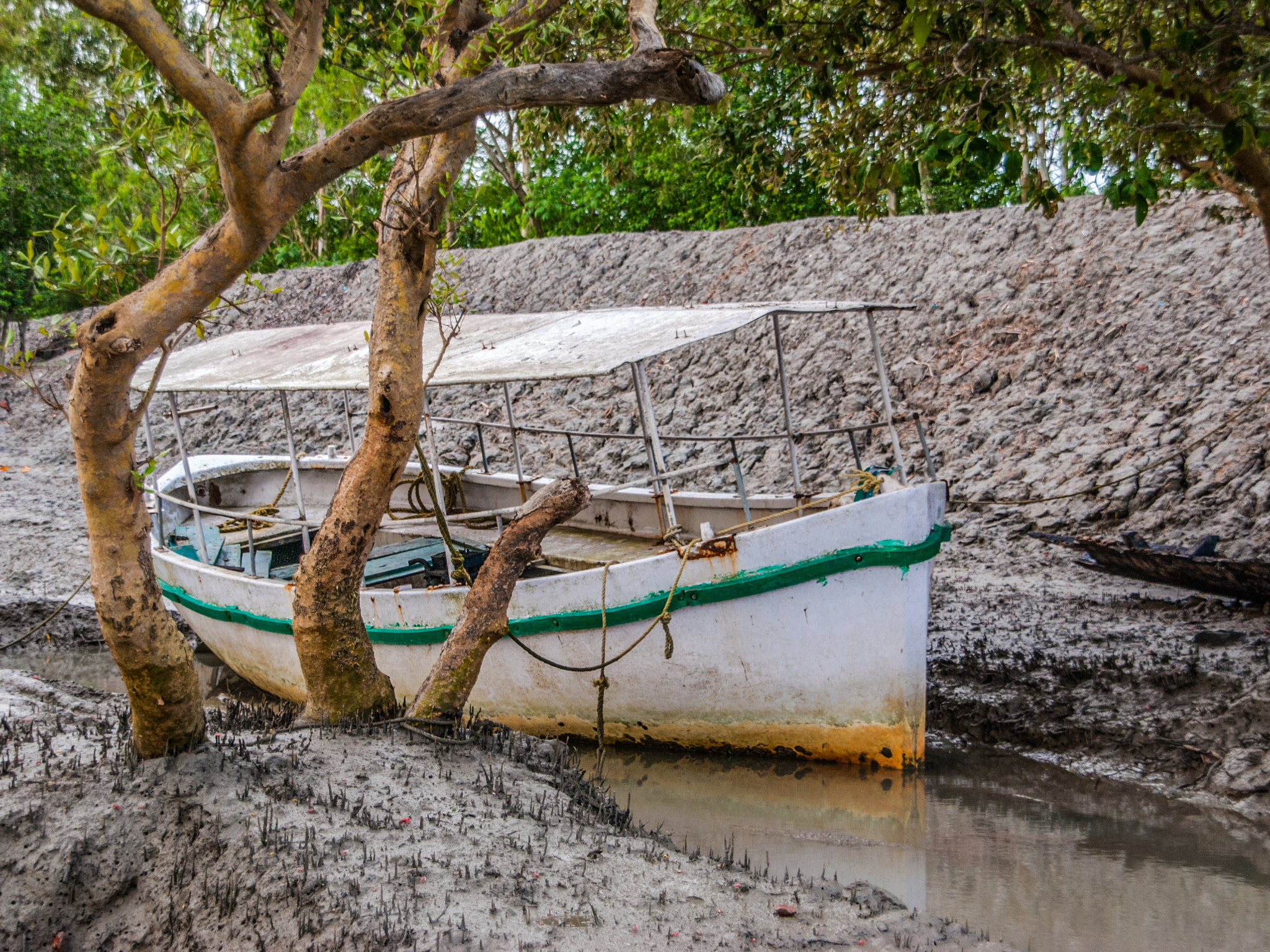 Nikon D60 + Sigma 18-200mm F3.5-6.3 DC sample photo. Beached photography