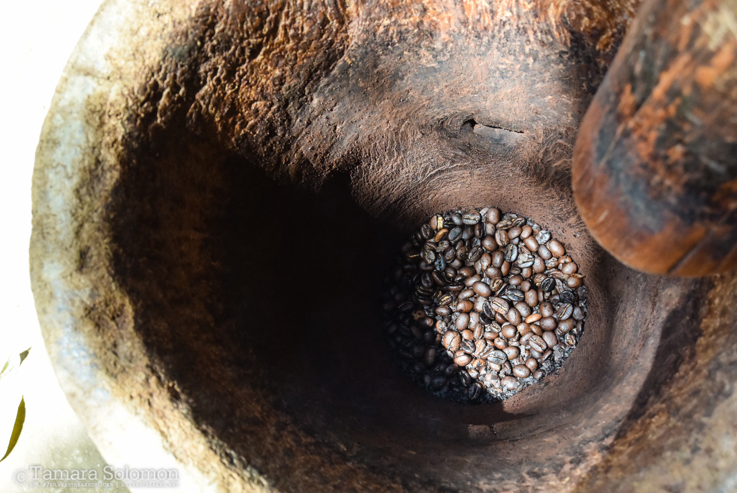 Nikon 1 Nikkor 11-27.5mm F3.5-5.6 sample photo. Raw coffee photography