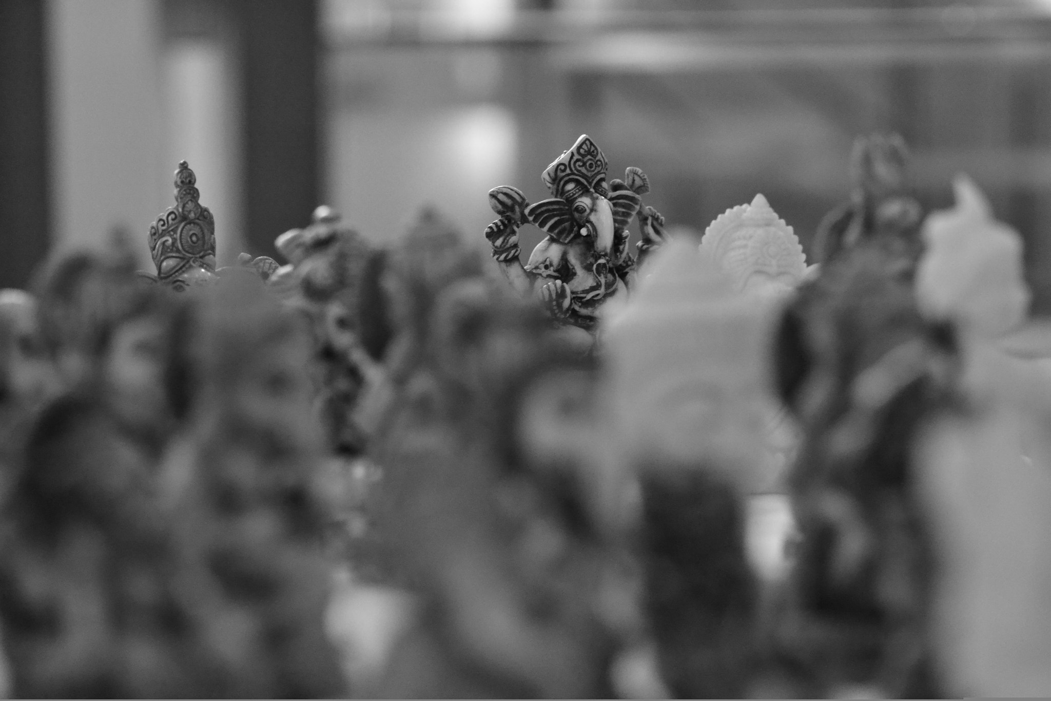 Nikon AF Nikkor 70-300mm F4-5.6G sample photo. Ganesha photography