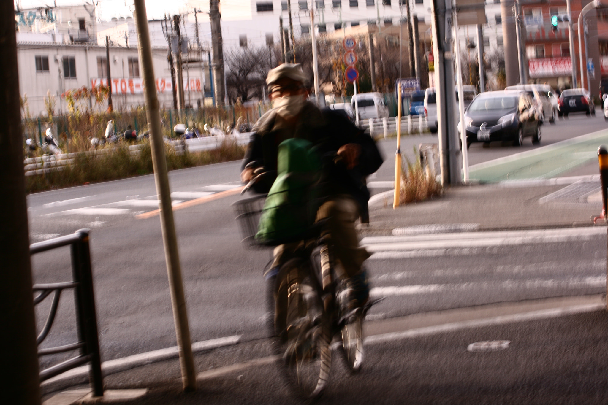 Canon EF 55-200mm F4.5-5.6 II USM sample photo. Passing photography