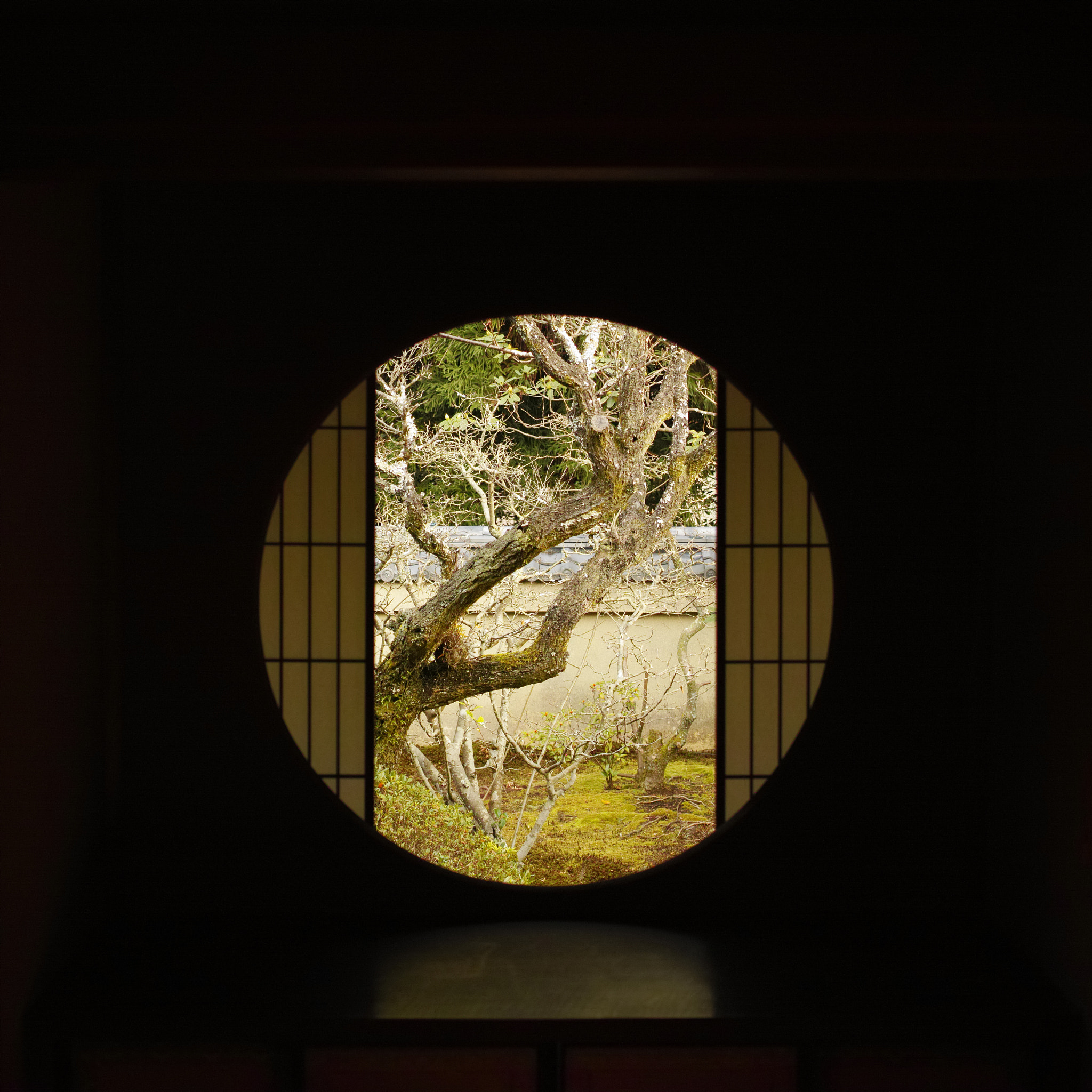 1007 sample photo. Enlightenment　window photography