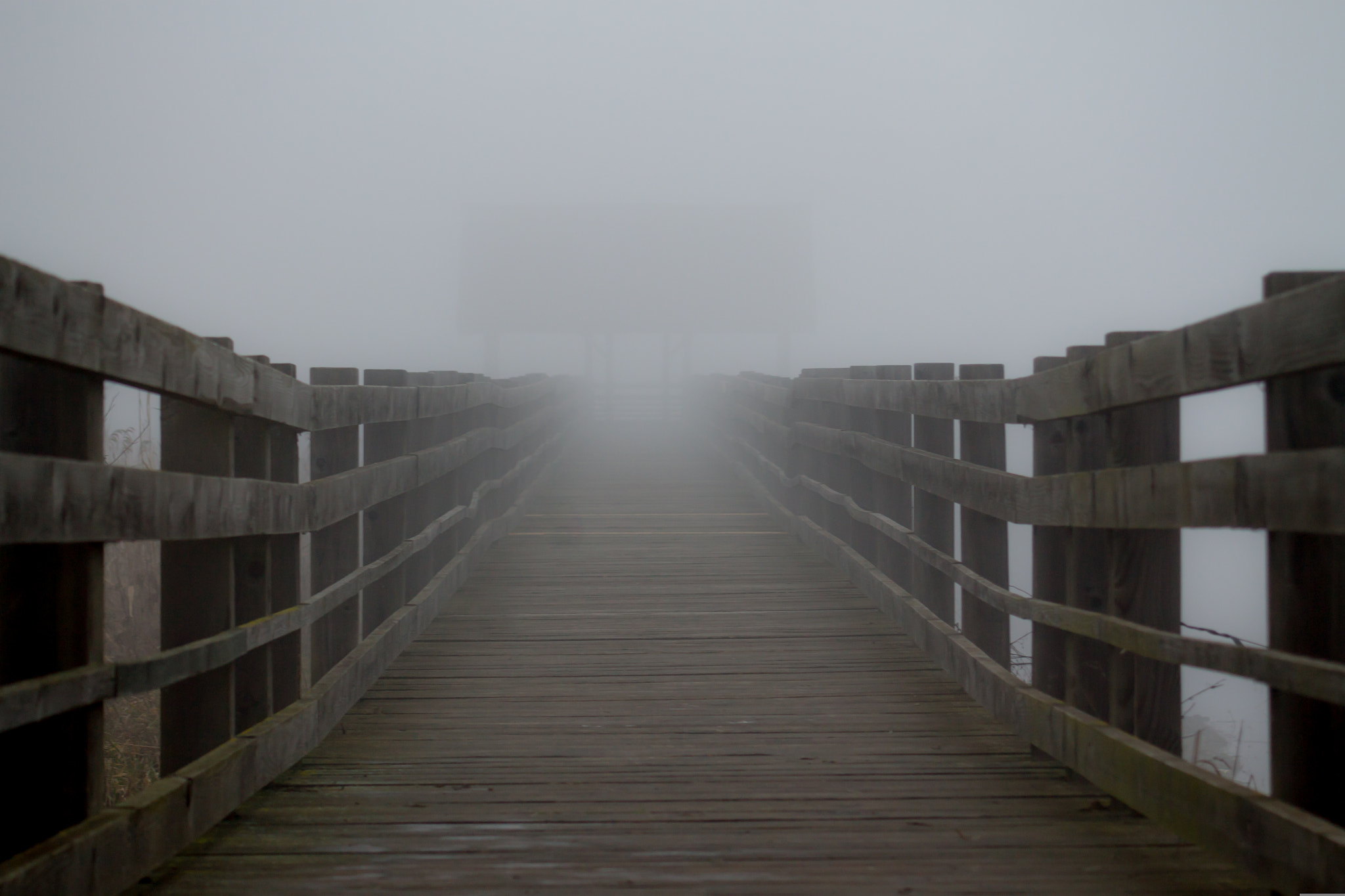 Canon EF 28-80mm f/2.8-4L sample photo. Mist minimal #2 photography