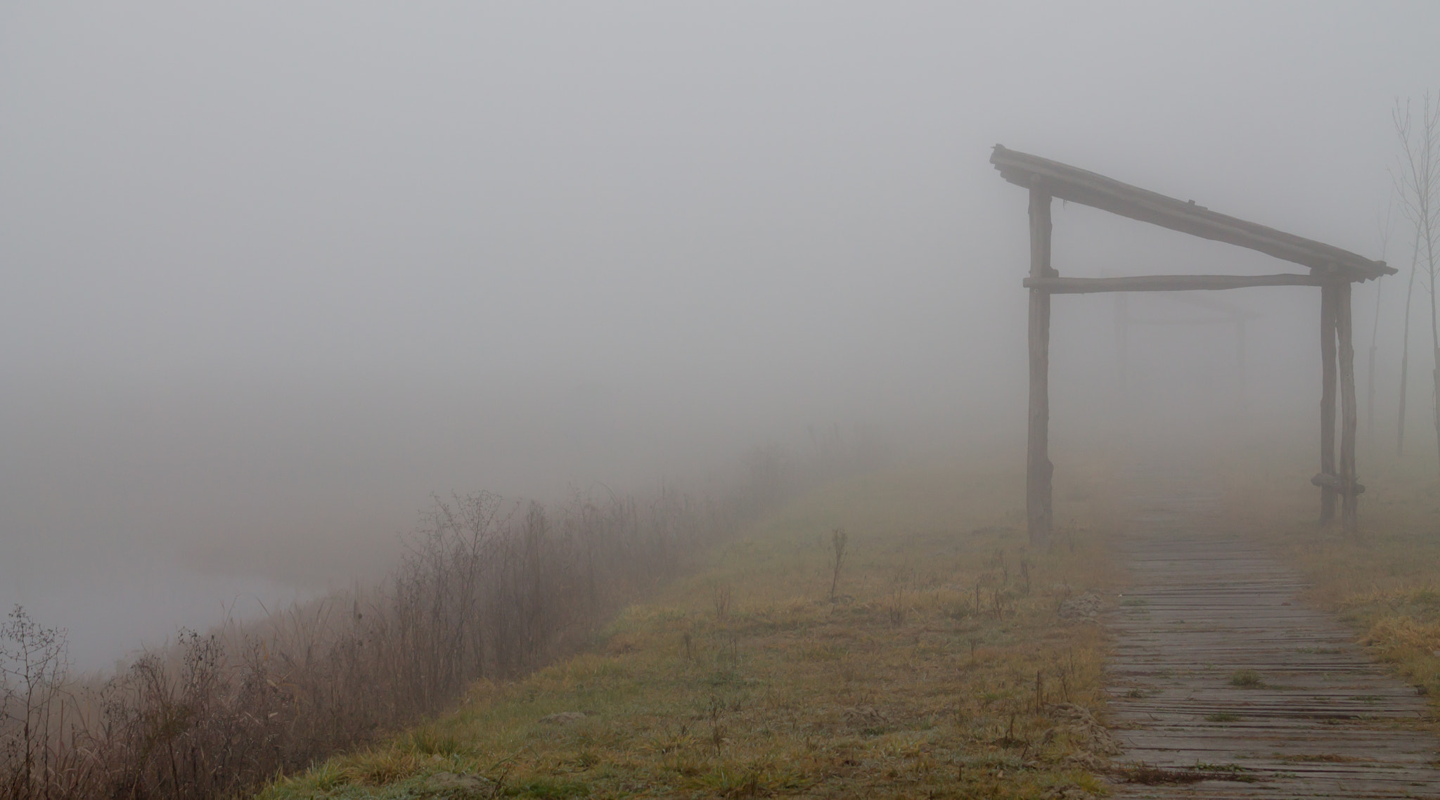 Canon EF 28-80mm f/2.8-4L sample photo. Mist minimal #3 photography