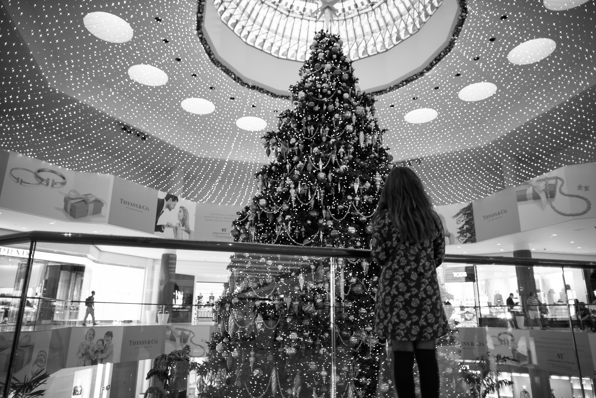 Sony a7S + Canon EF 24mm F1.4L II USM sample photo. Christmas photography