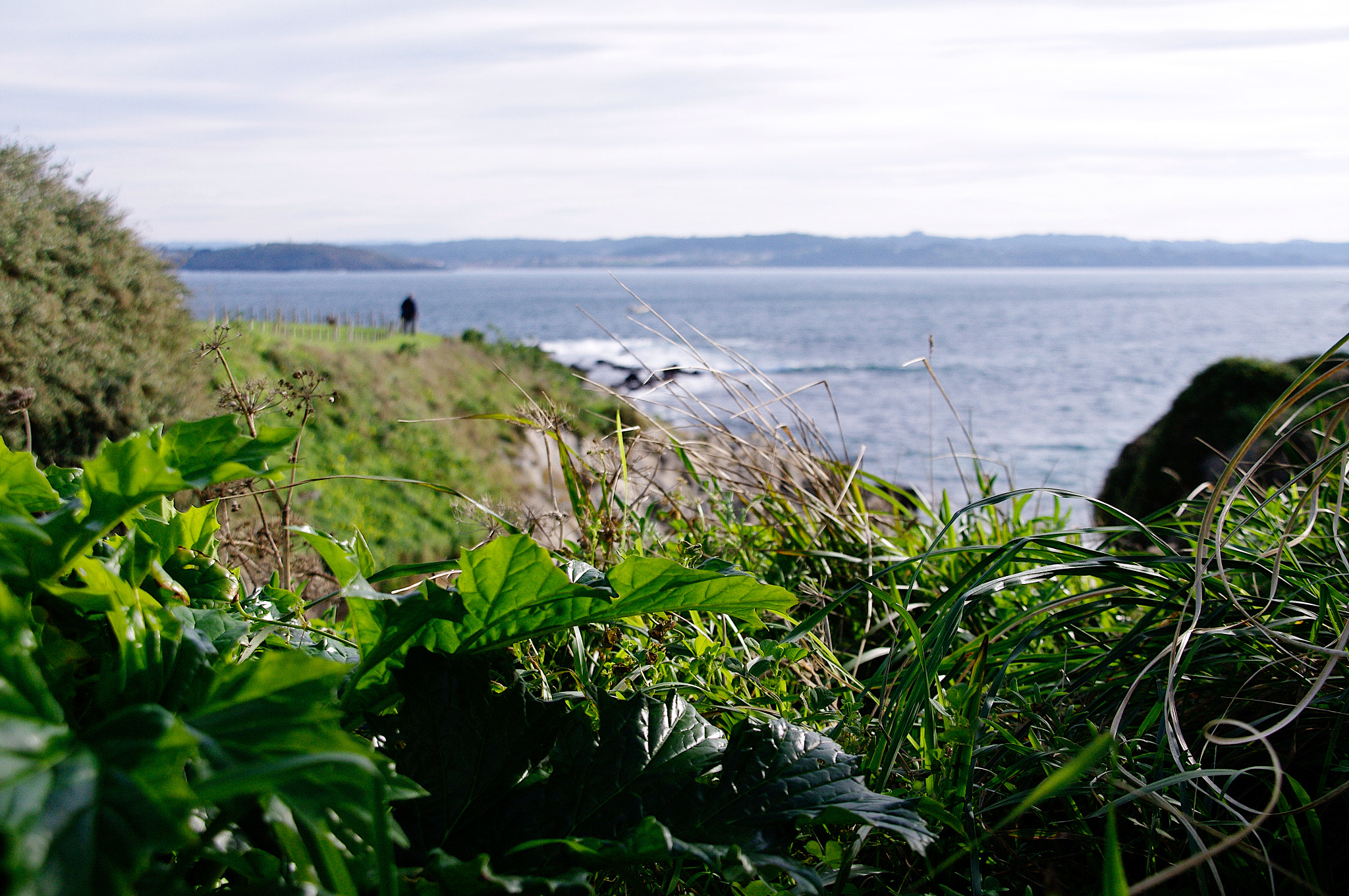 Sigma 18-200mm F3.5-6.3 DC sample photo. Looking to the sea photography