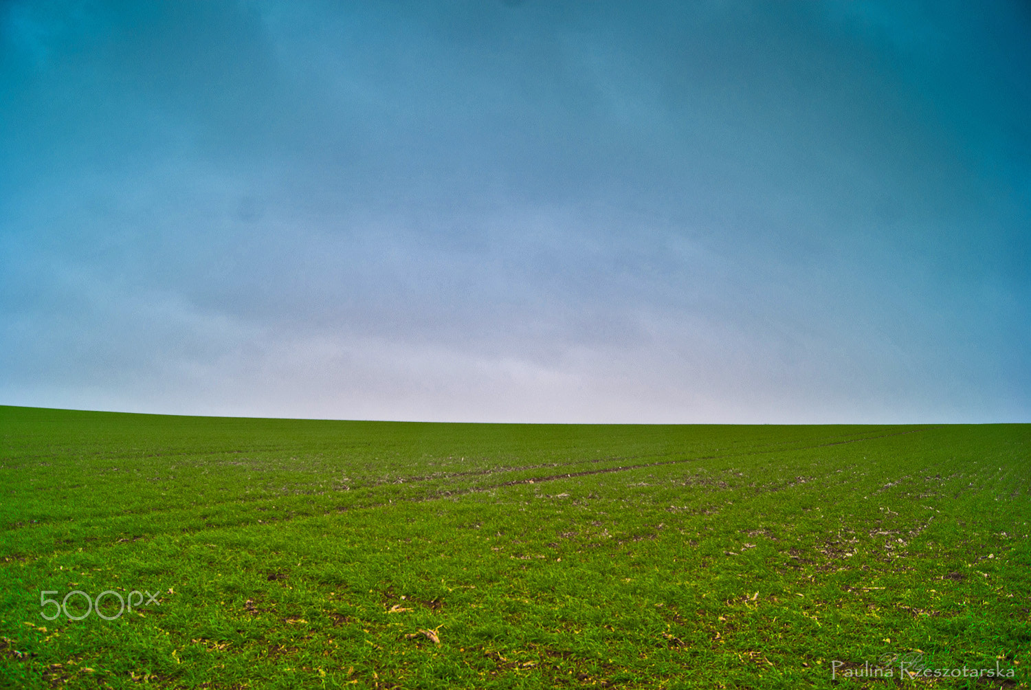 Sony Alpha DSLR-A200 + Sony DT 18-55mm F3.5-5.6 SAM sample photo. Saffron landscape - wallpaper photography