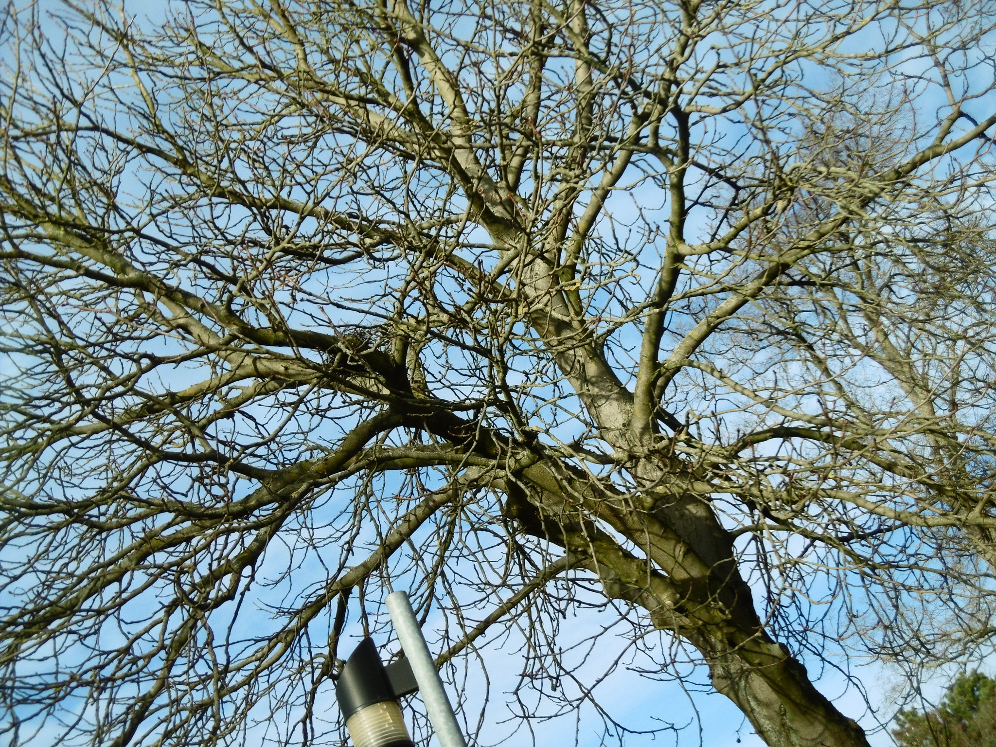 Panasonic DMC-SZ10 sample photo