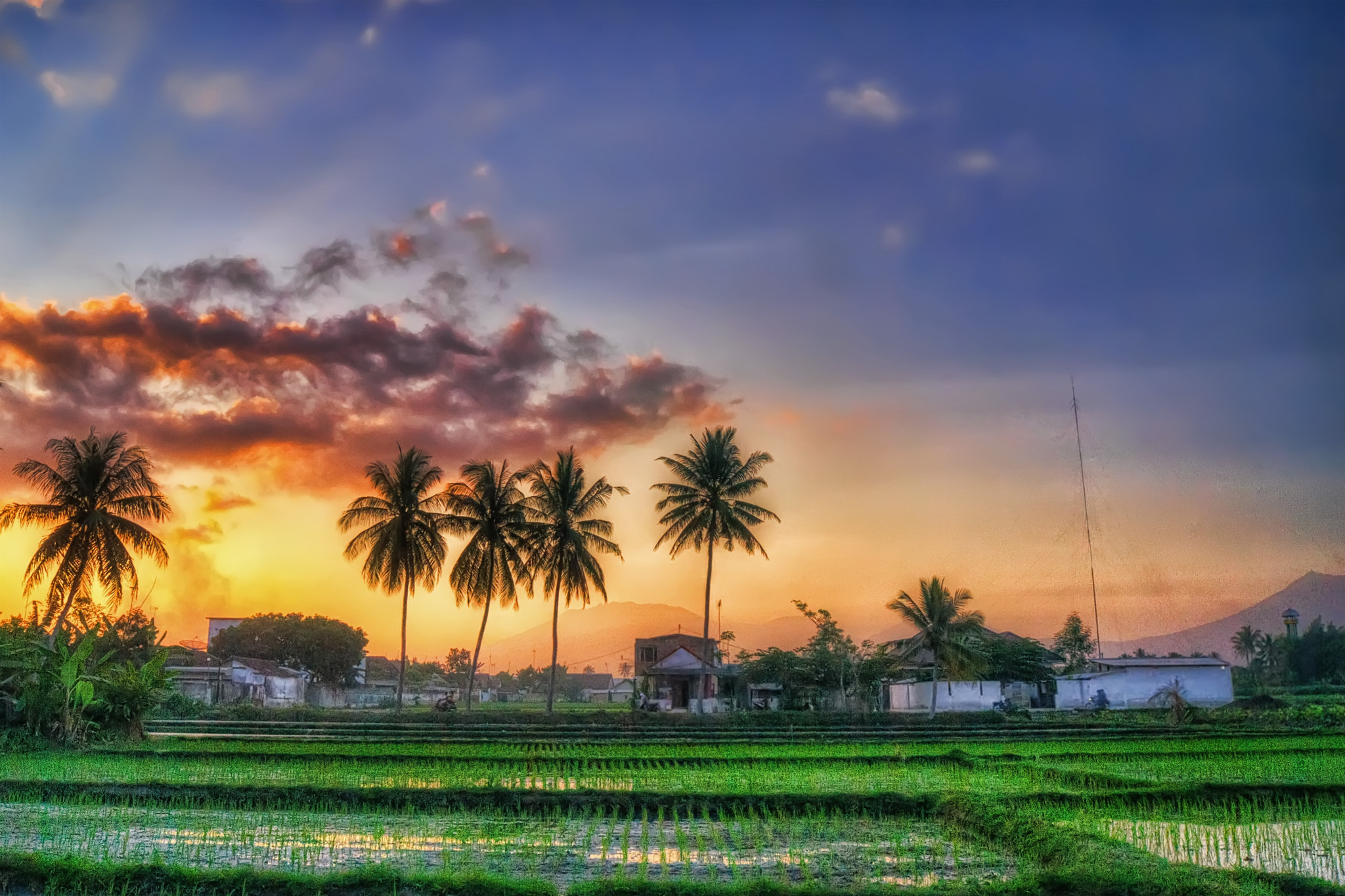 Sony Alpha DSLR-A560 sample photo. Panorama sore photography
