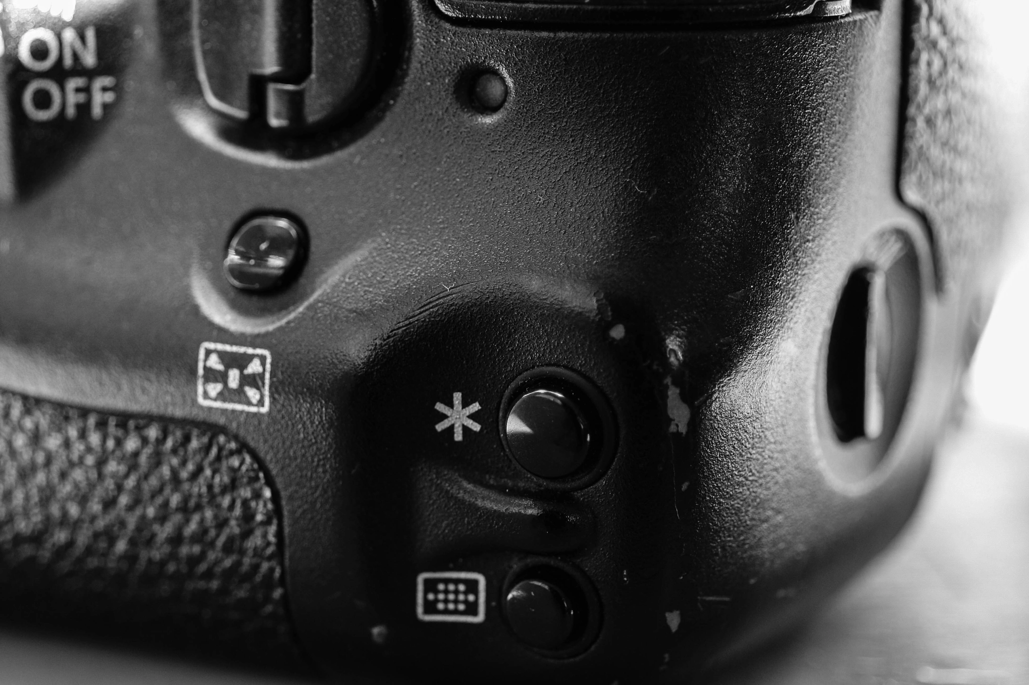 Canon EF 24-70mm F4L IS USM sample photo. Eos1d detail photography