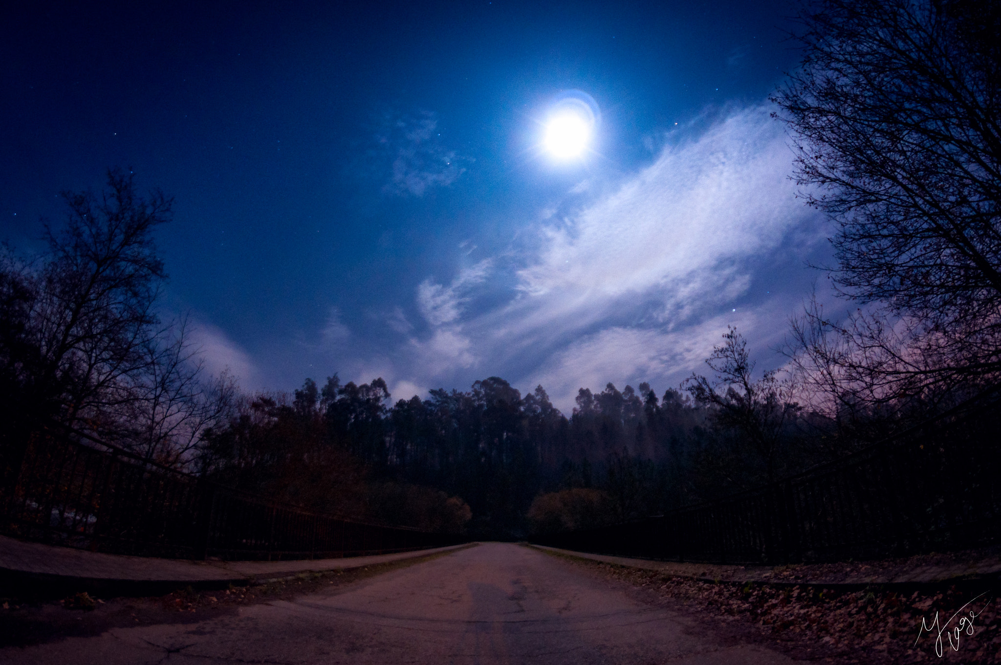 Nikon D90 + Samyang 8mm F3.5 Aspherical IF MC Fisheye sample photo. Full christmas moon. photography