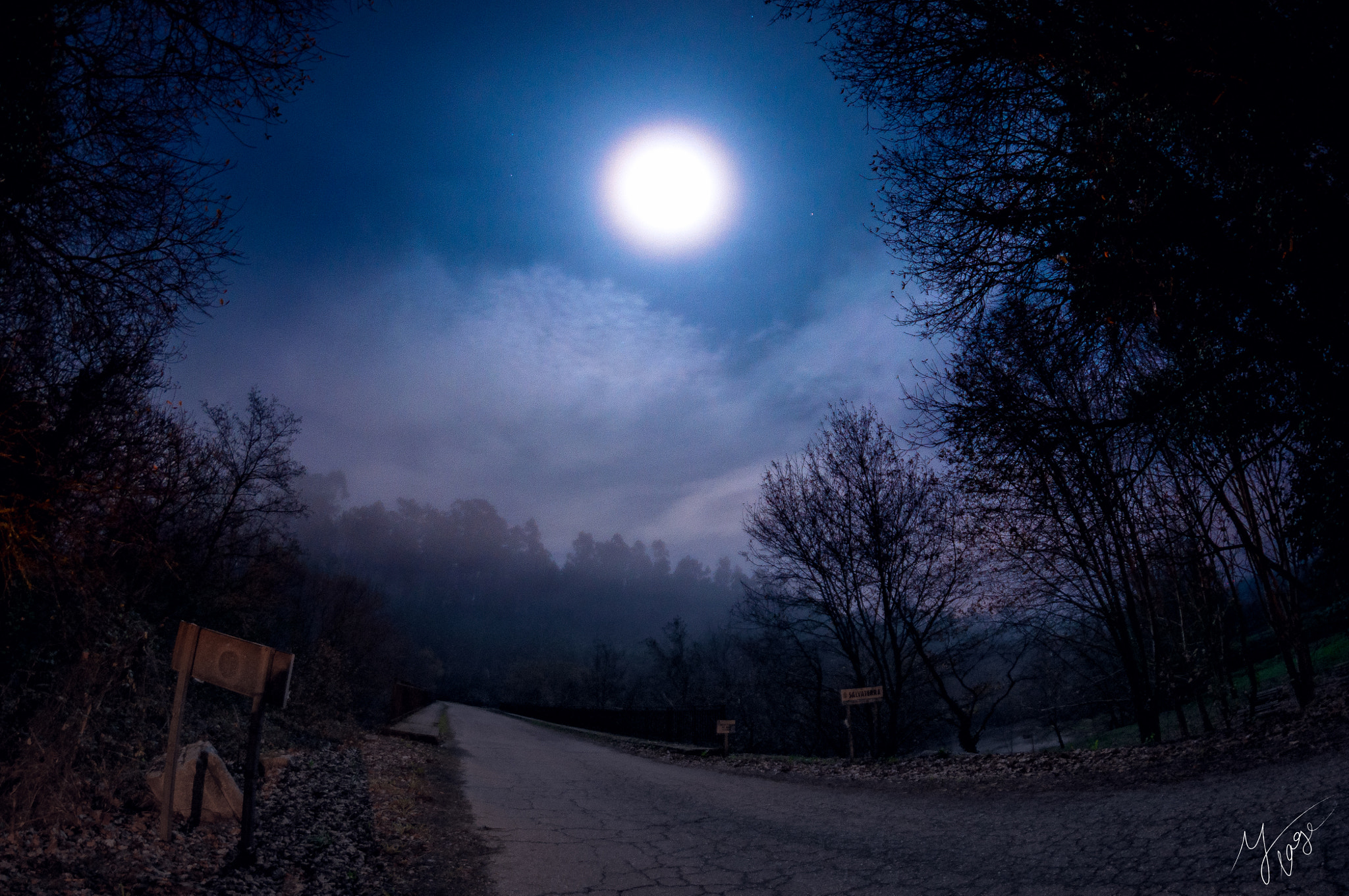 Nikon D90 + Samyang 8mm F3.5 Aspherical IF MC Fisheye sample photo. Full christmas moon. photography