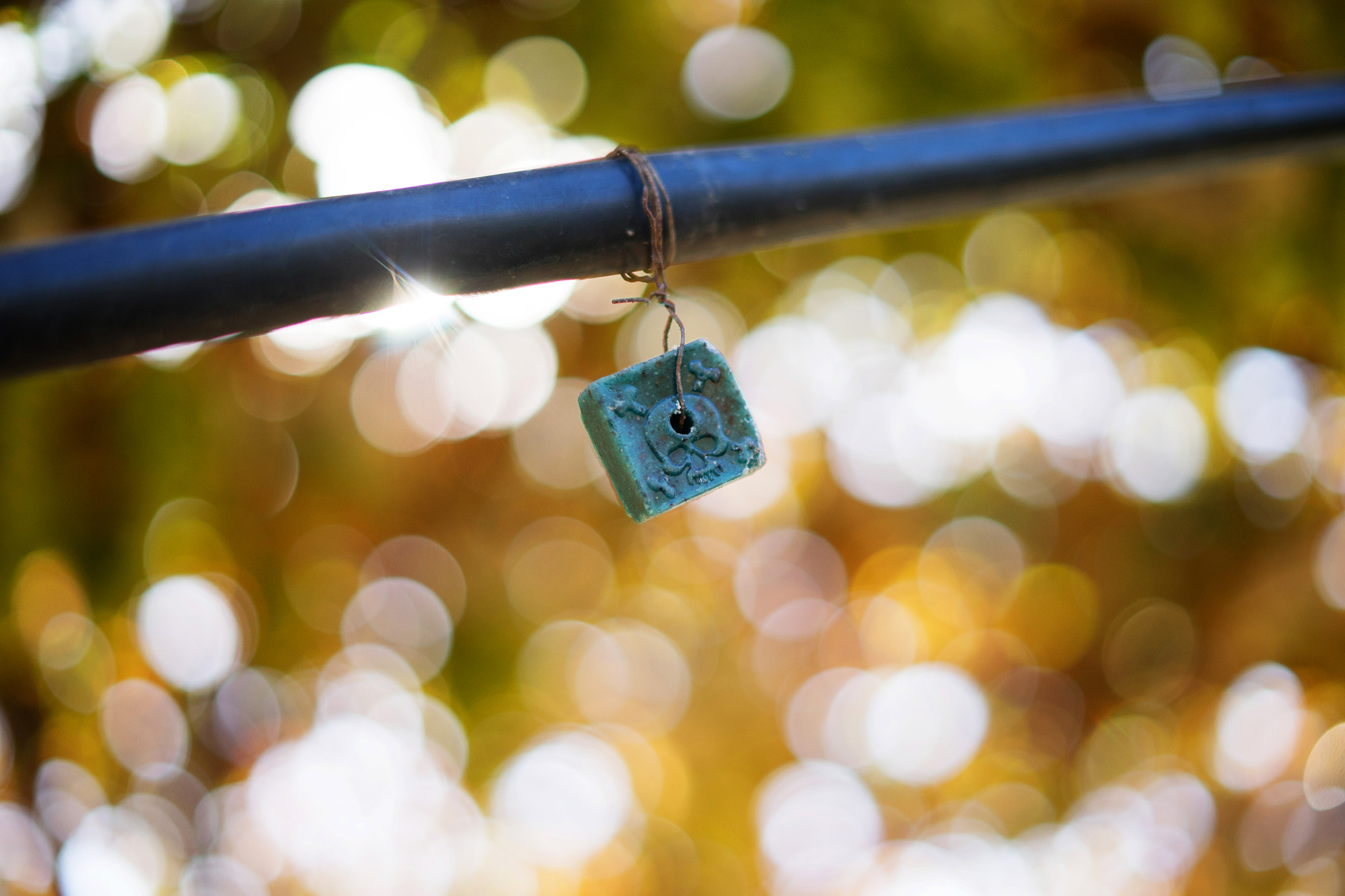 Sony a7 + Sony 50mm F1.4 sample photo. Justfun photography