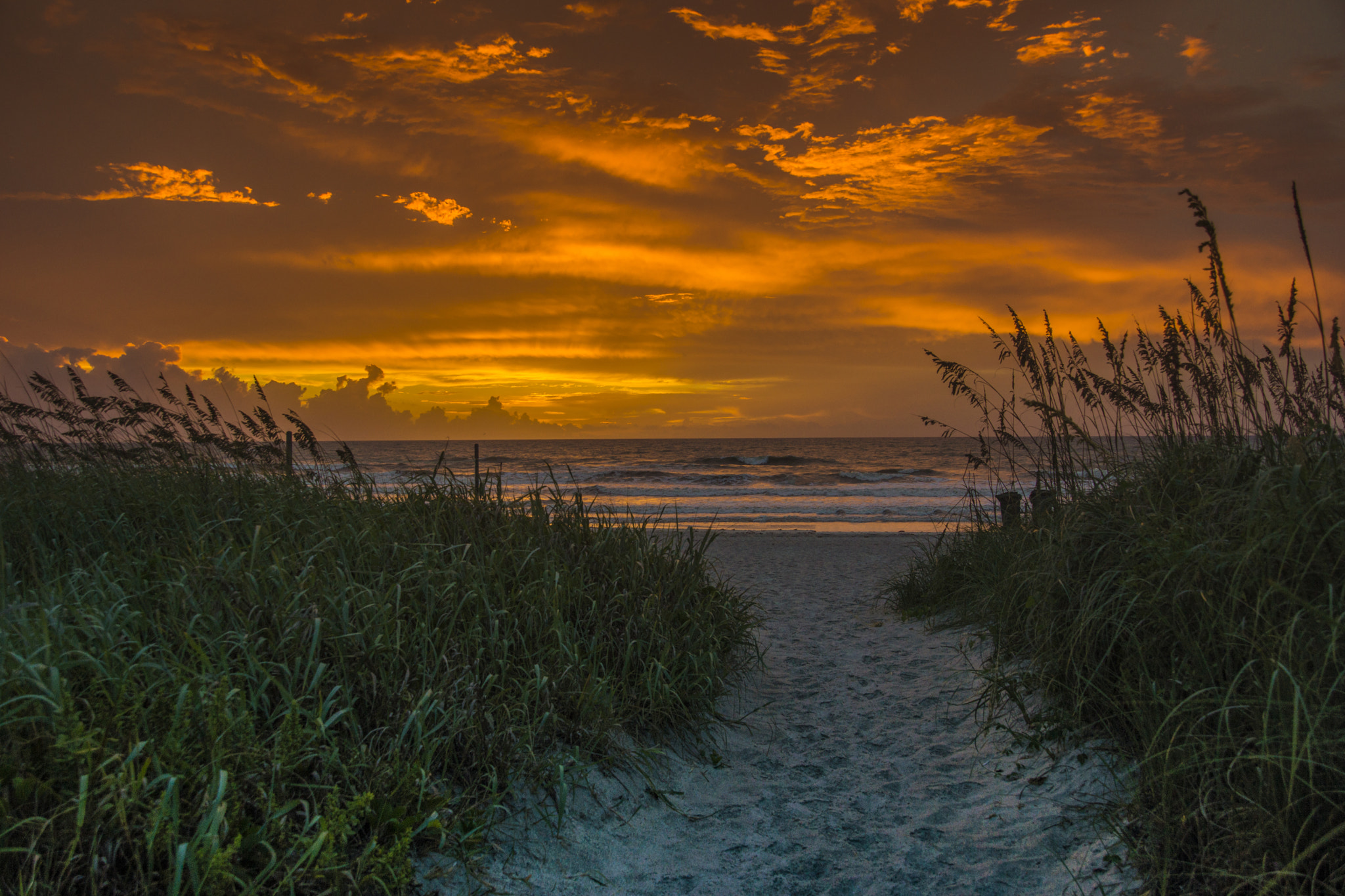 Tamron 18-270mm F3.5-6.3 Di II PZD sample photo. Daytona beach photography