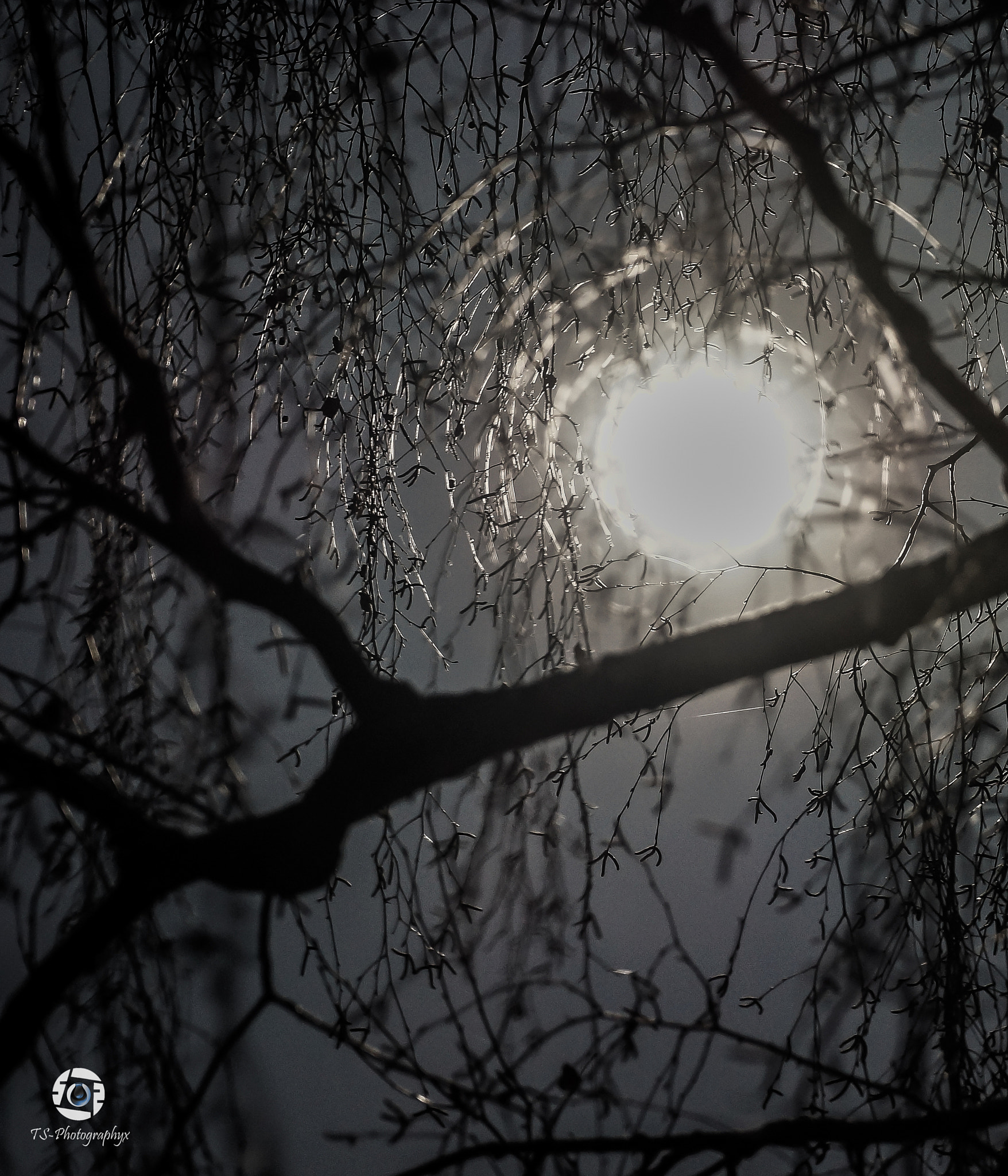 Tamron SP 70-300mm F4-5.6 Di USD sample photo. Vollmond photography