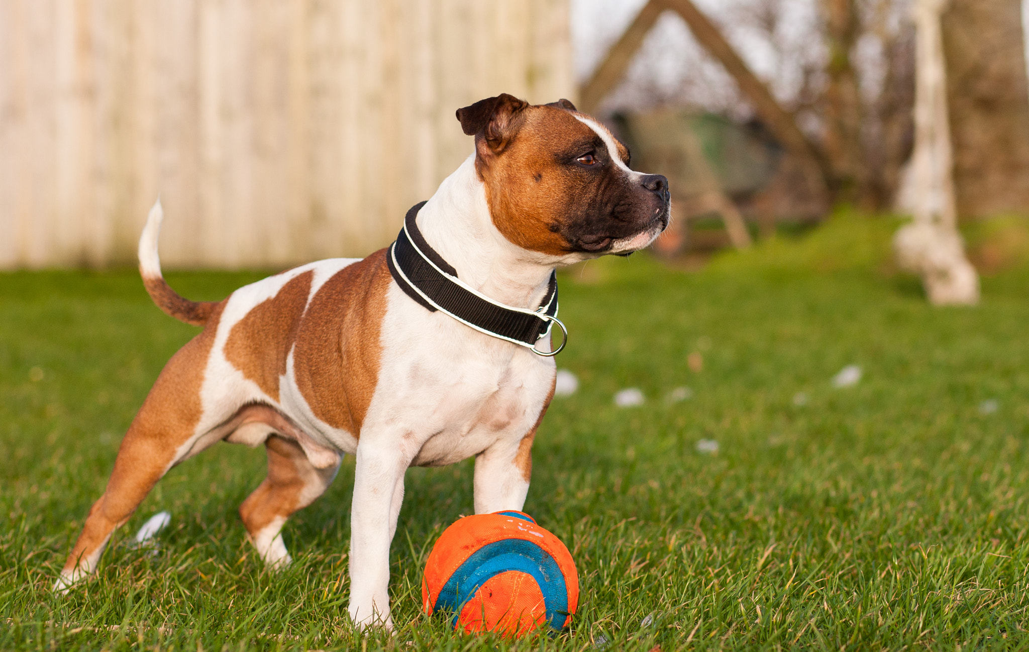 Canon EOS-1Ds Mark III sample photo. 5l0r4053.jpg photography