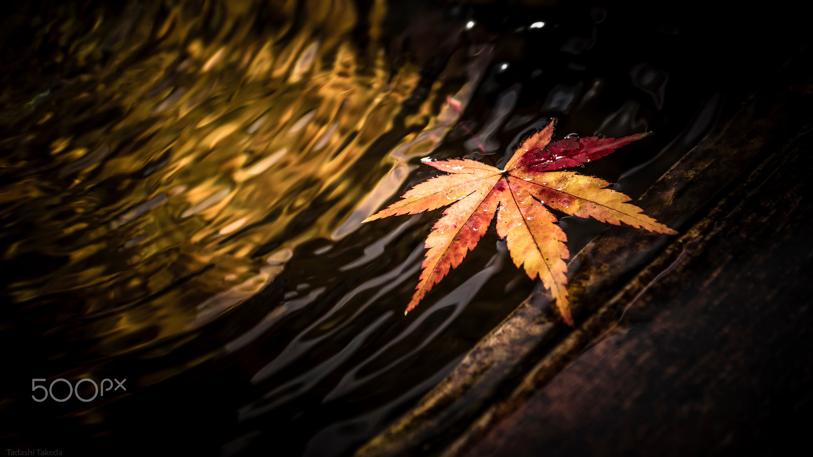 Sony DT 55-300mm F4.5-5.6 SAM sample photo. In the water photography