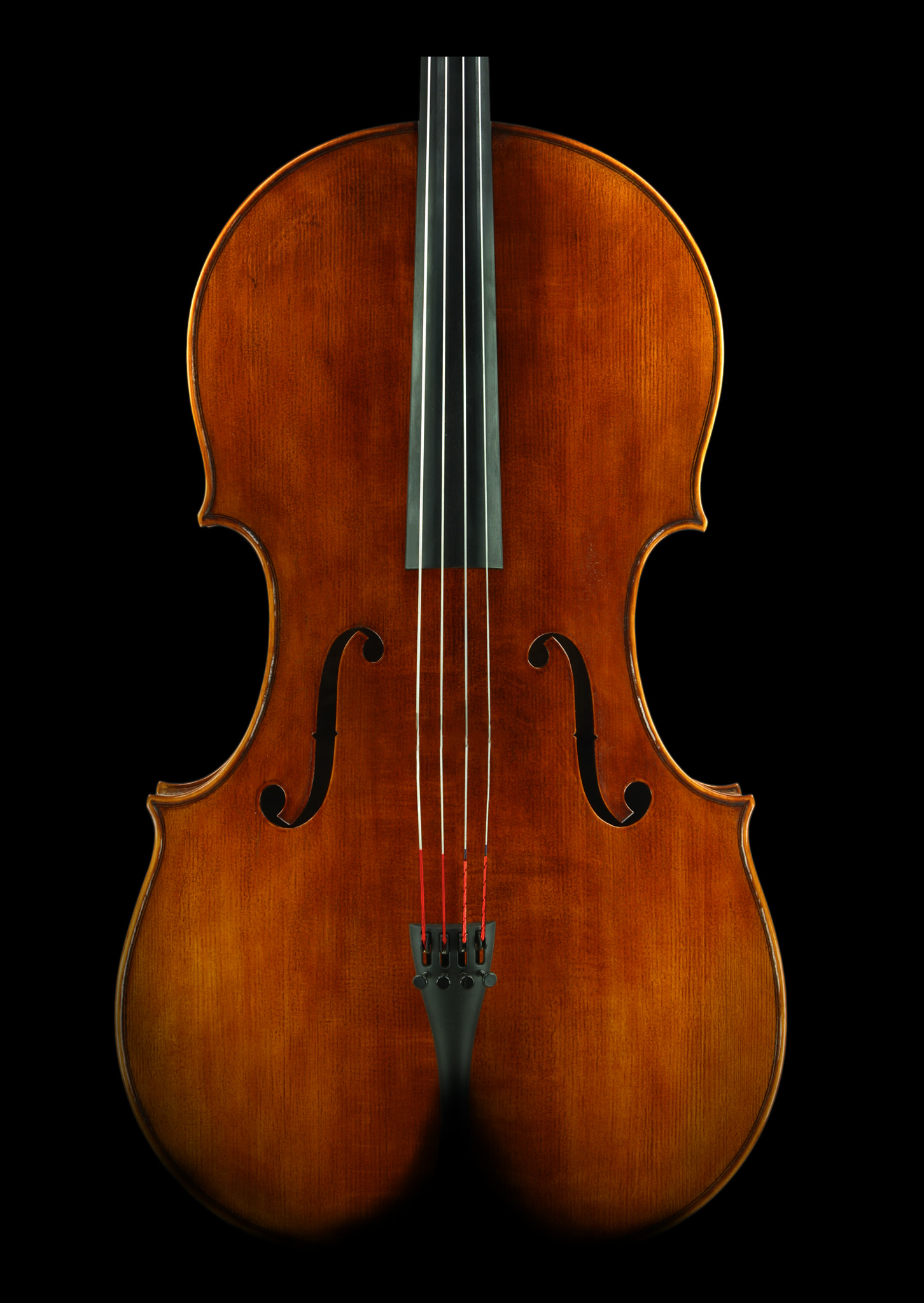 Female Cello backside