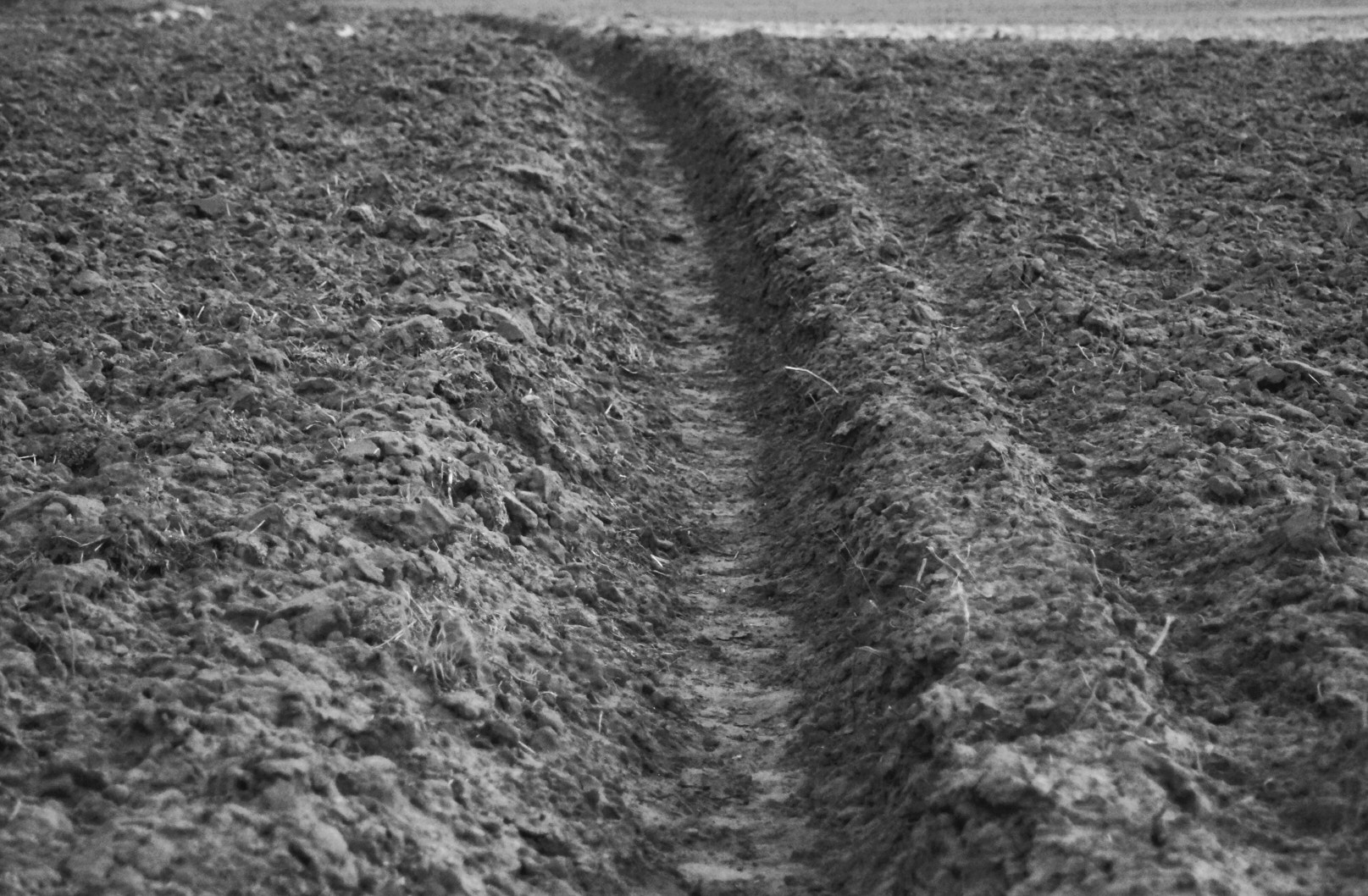 Tamron Lens (129) sample photo. Experiments on lines b&w 10 photography