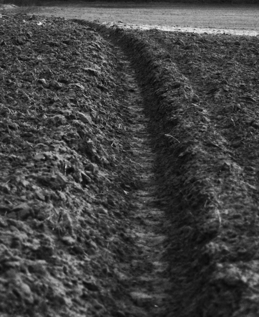 Sony SLT-A58 + Tamron Lens (129) sample photo. Experiments on lines b&w 12 photography