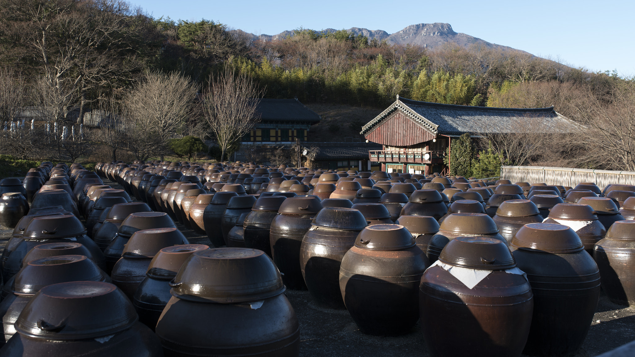 Sony a7R II + Sigma 35mm F1.4 DG HSM Art sample photo. Dsc04529.jpg photography
