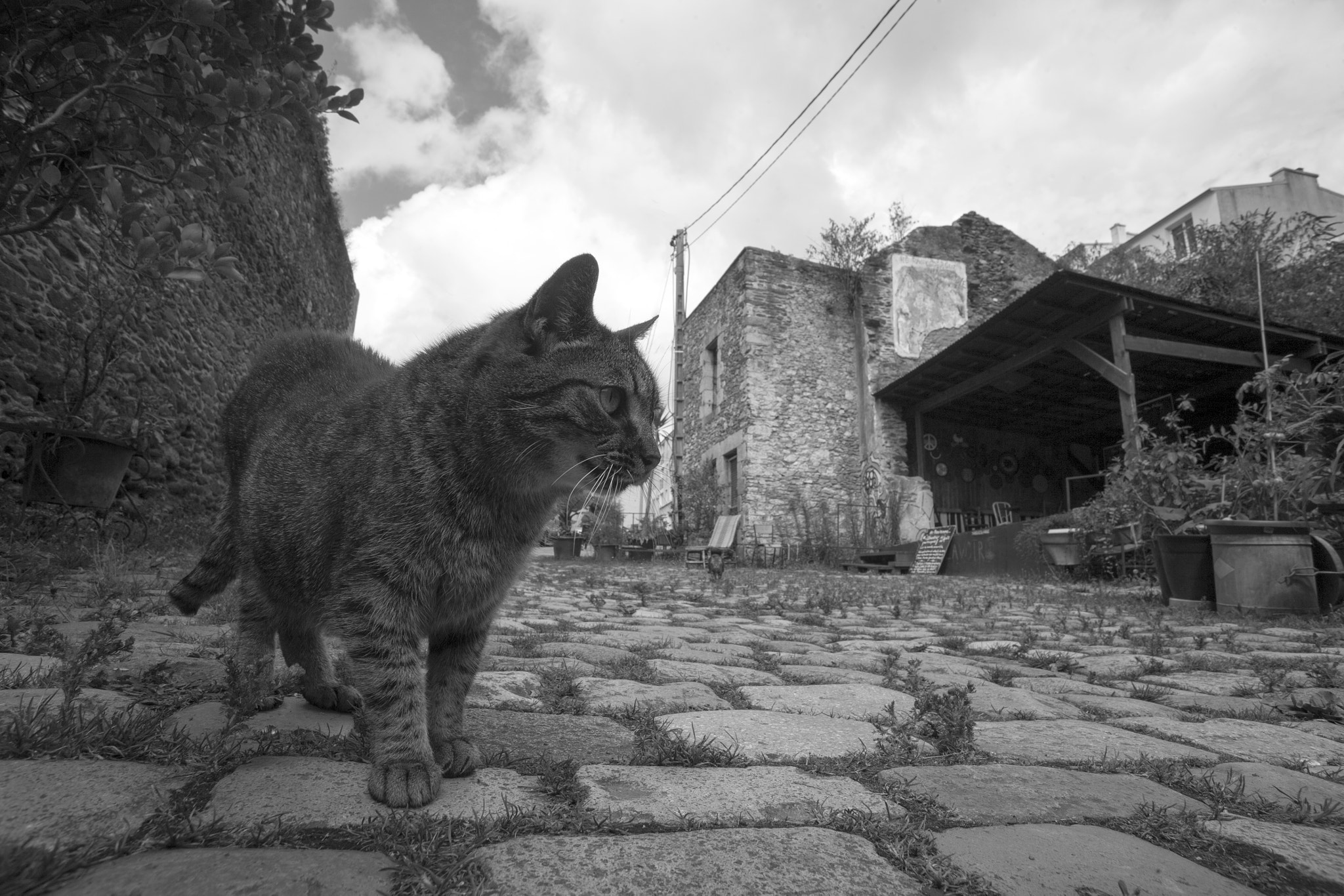 Tamron AF 19-35mm f/3.5-4.5 sample photo. Malouin photography